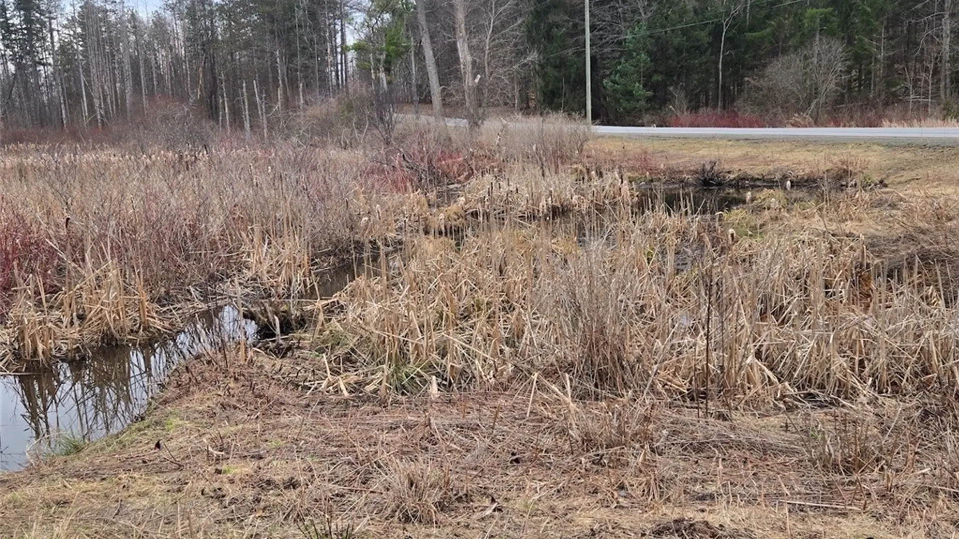 Property at Hardys Road, Gainesville, NY 14066 17