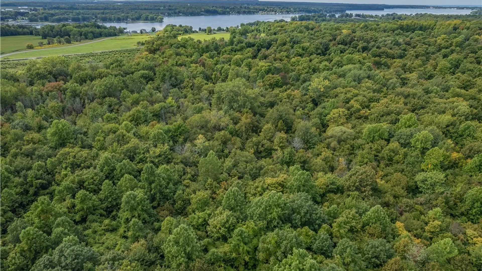 Property at 6426 Lake Bluff Road, Huron, NY 14516 45