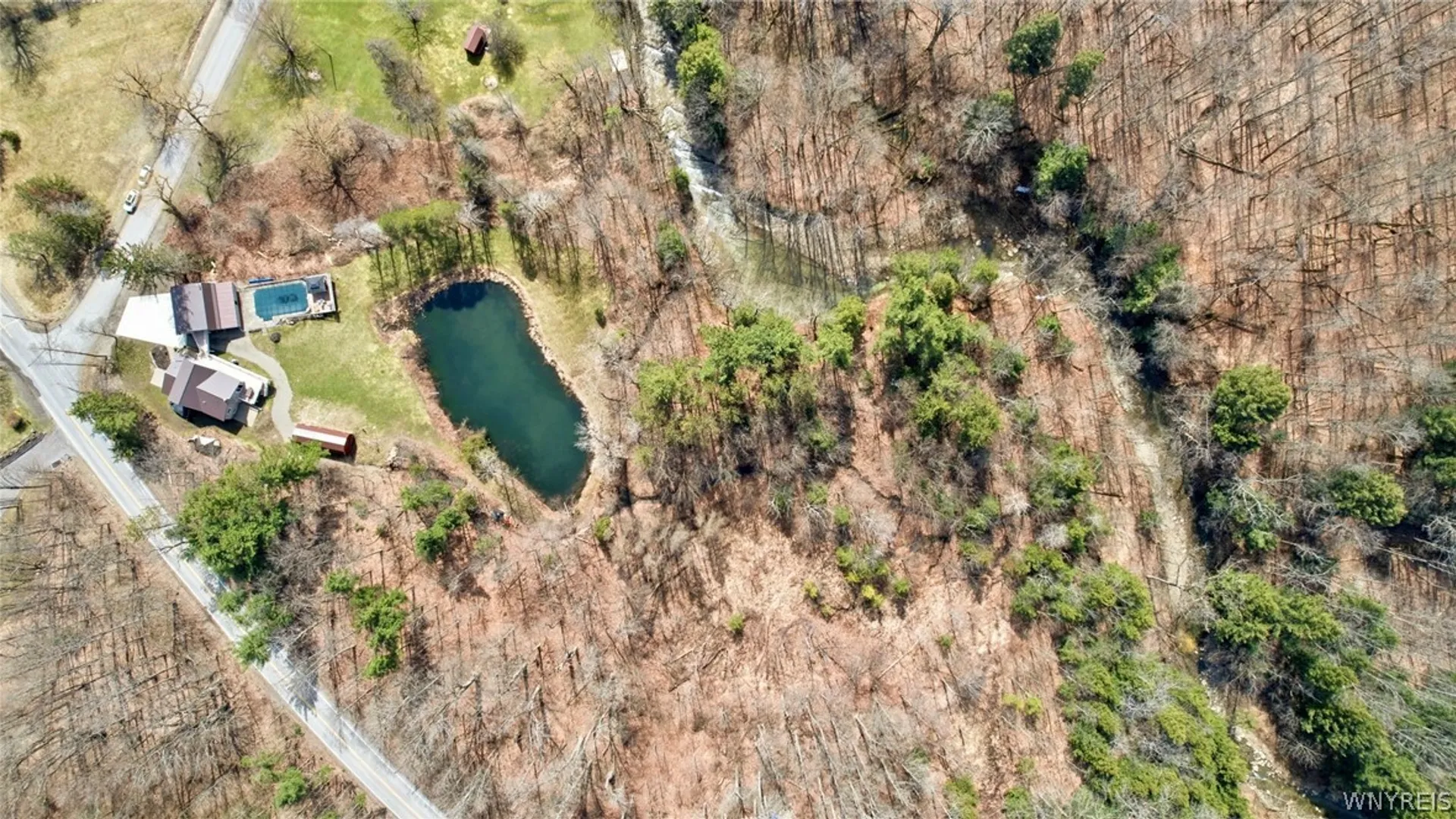 Property at 9198 Knapp Road, Colden, NY 14170 43