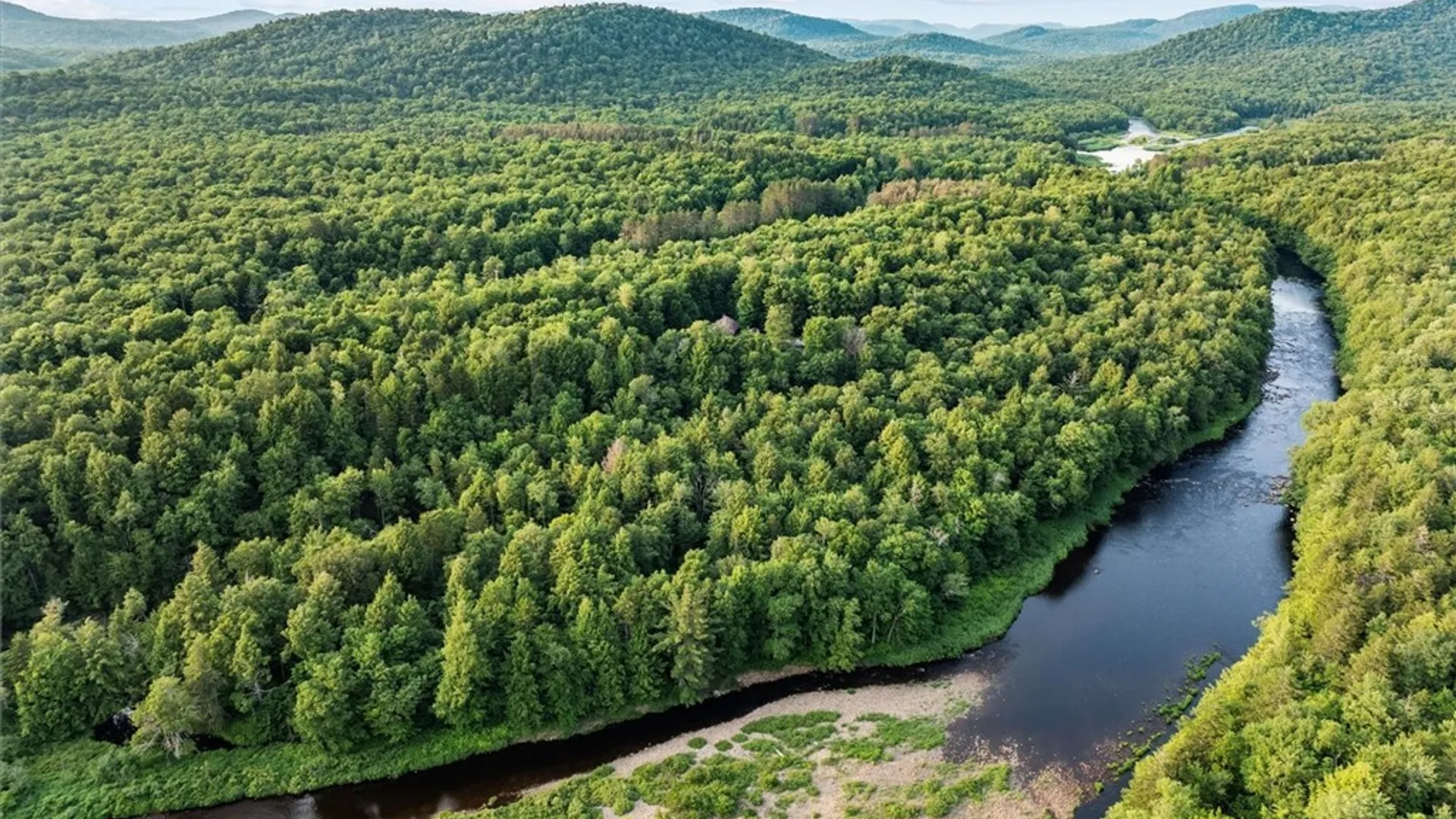 Property at 4970 State Route 8, Ohio, NY 13324 14