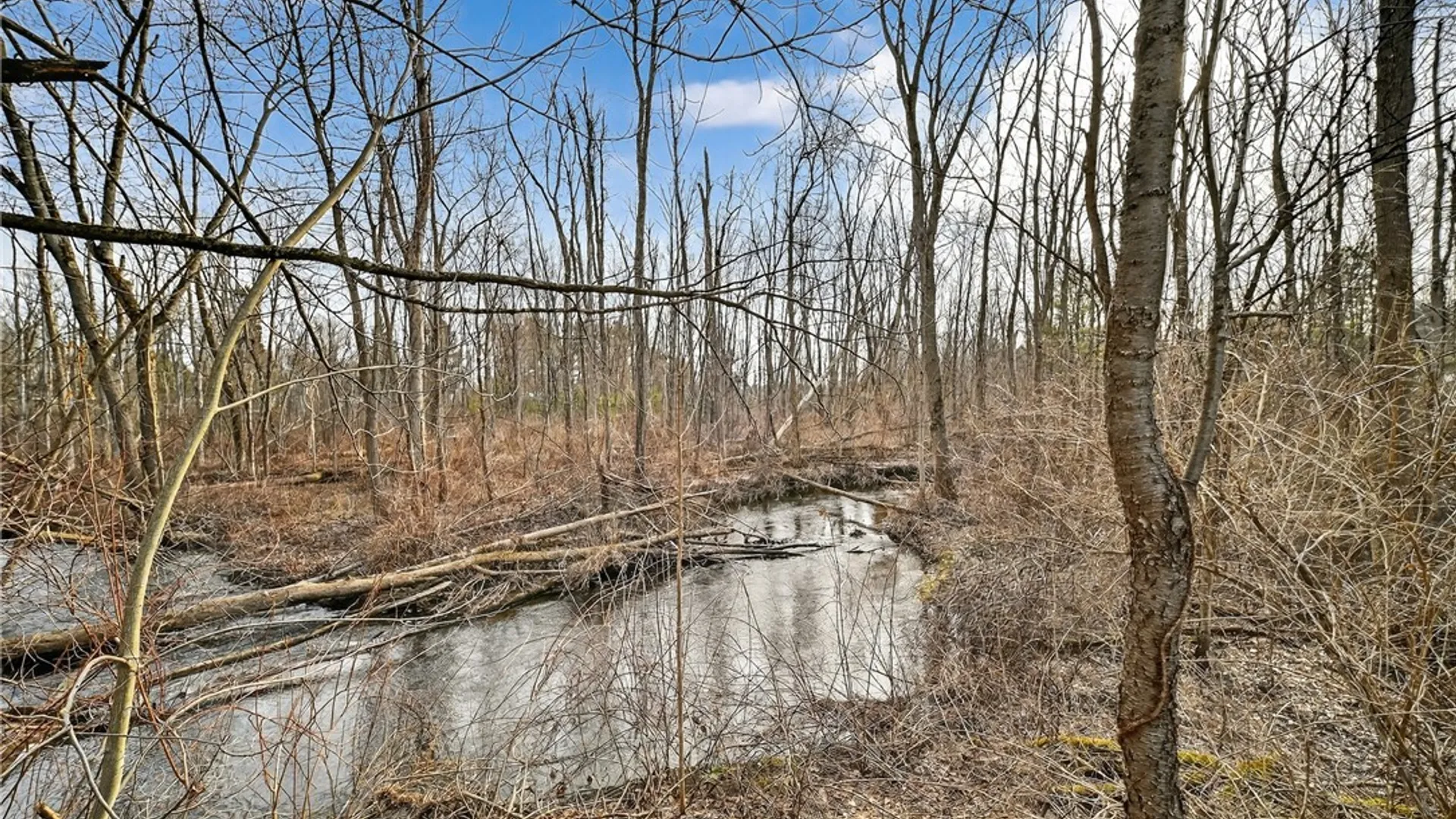 Property at 252 County Line Road, Granby, NY 13135 38