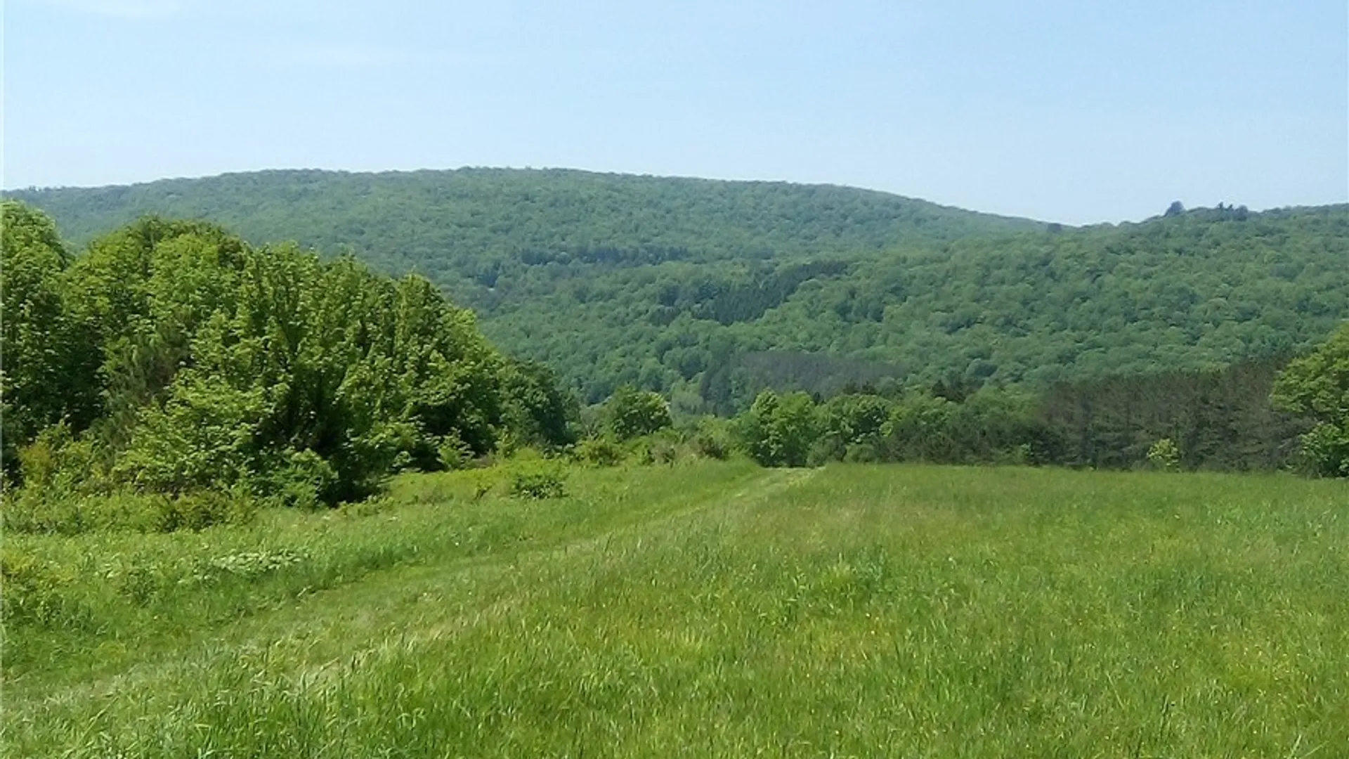 Property at 3190 County Highway 22, Walton, NY 13856 4