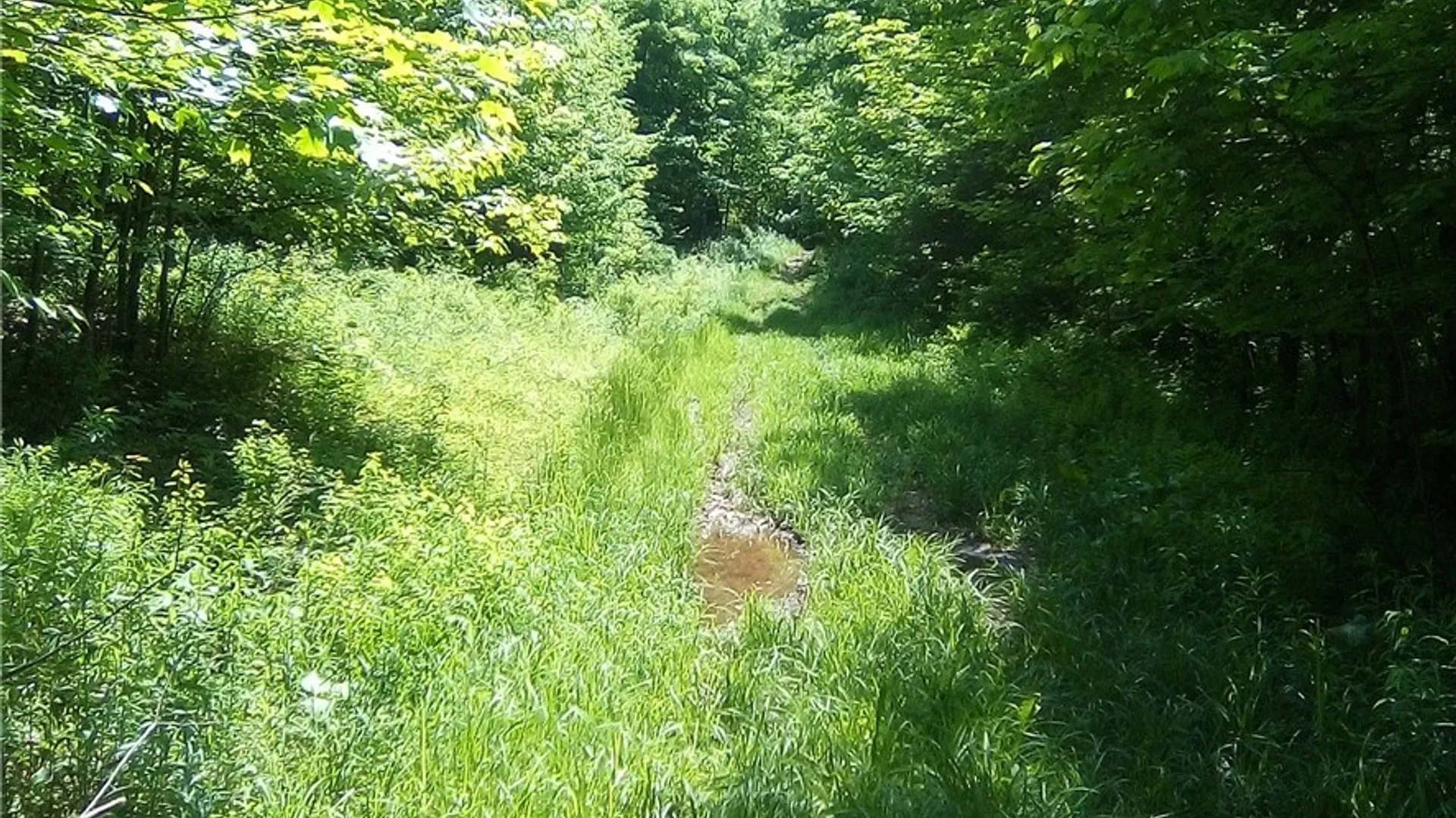 Property at 3190 County Highway 22, Walton, NY 13856 5