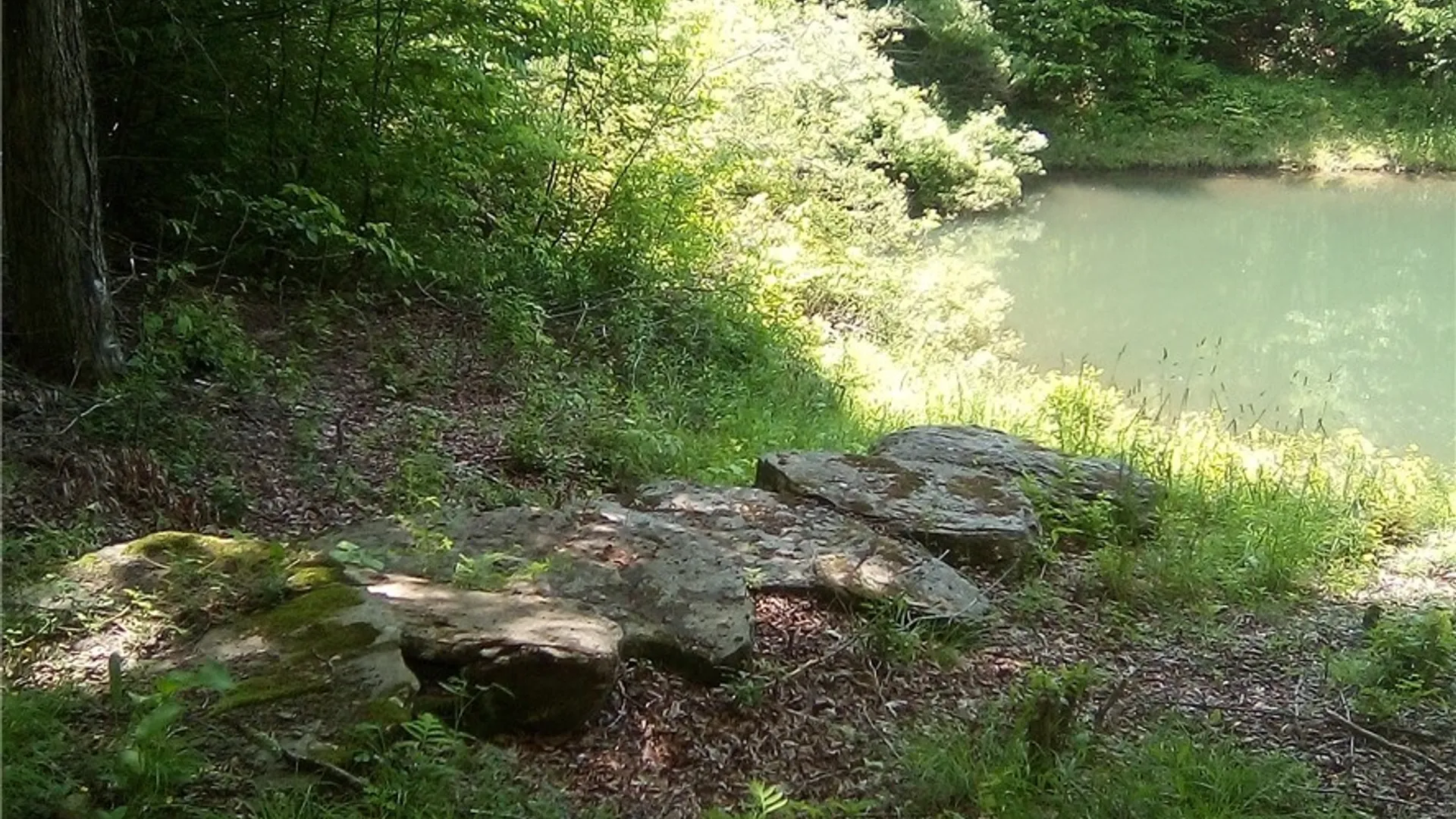 Property at 3190 County Highway 22, Walton, NY 13856 6