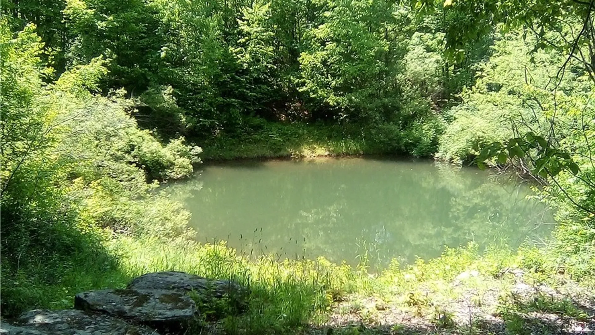 Property at 3190 County Highway 22, Walton, NY 13856 7