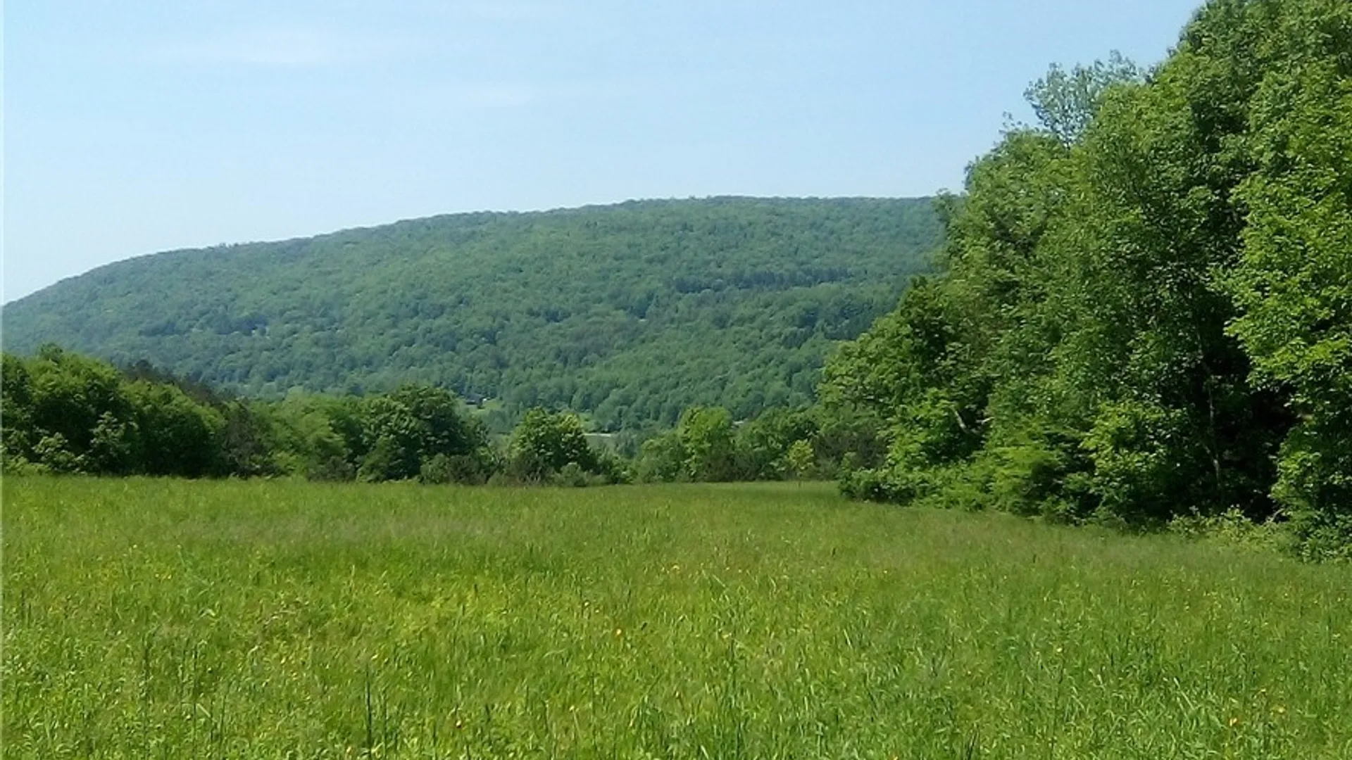 Property at 3190 County Highway 22, Walton, NY 13856 8