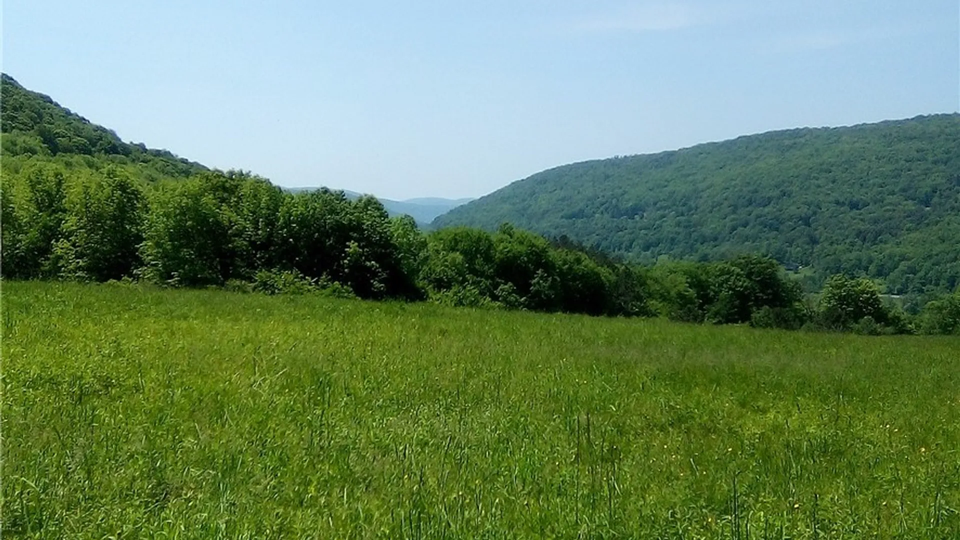 Property at 3190 County Highway 22, Walton, NY 13856 9