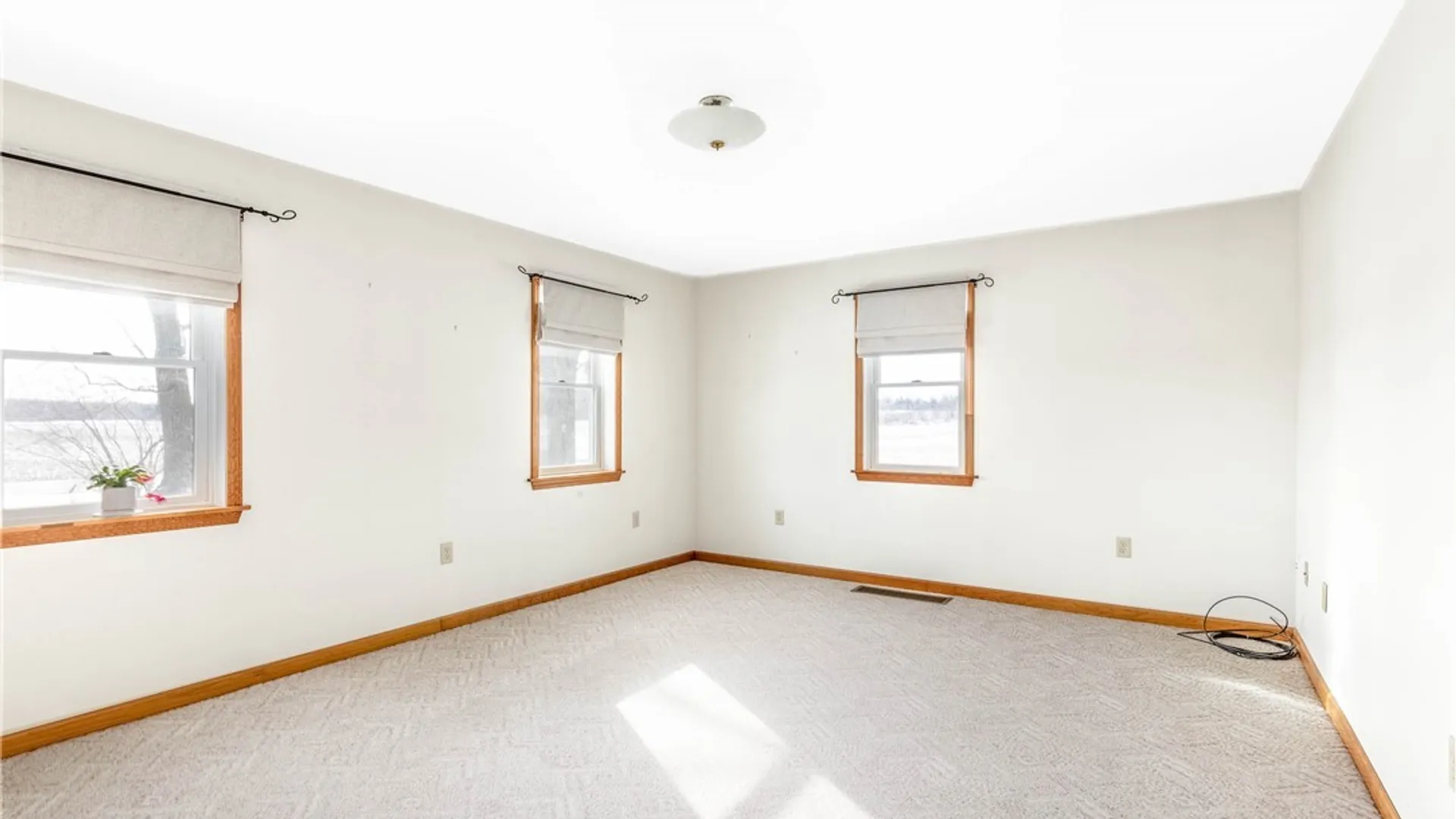 Property at 3944 Taylor Hill Road, Ridgeway, NY 14411 19