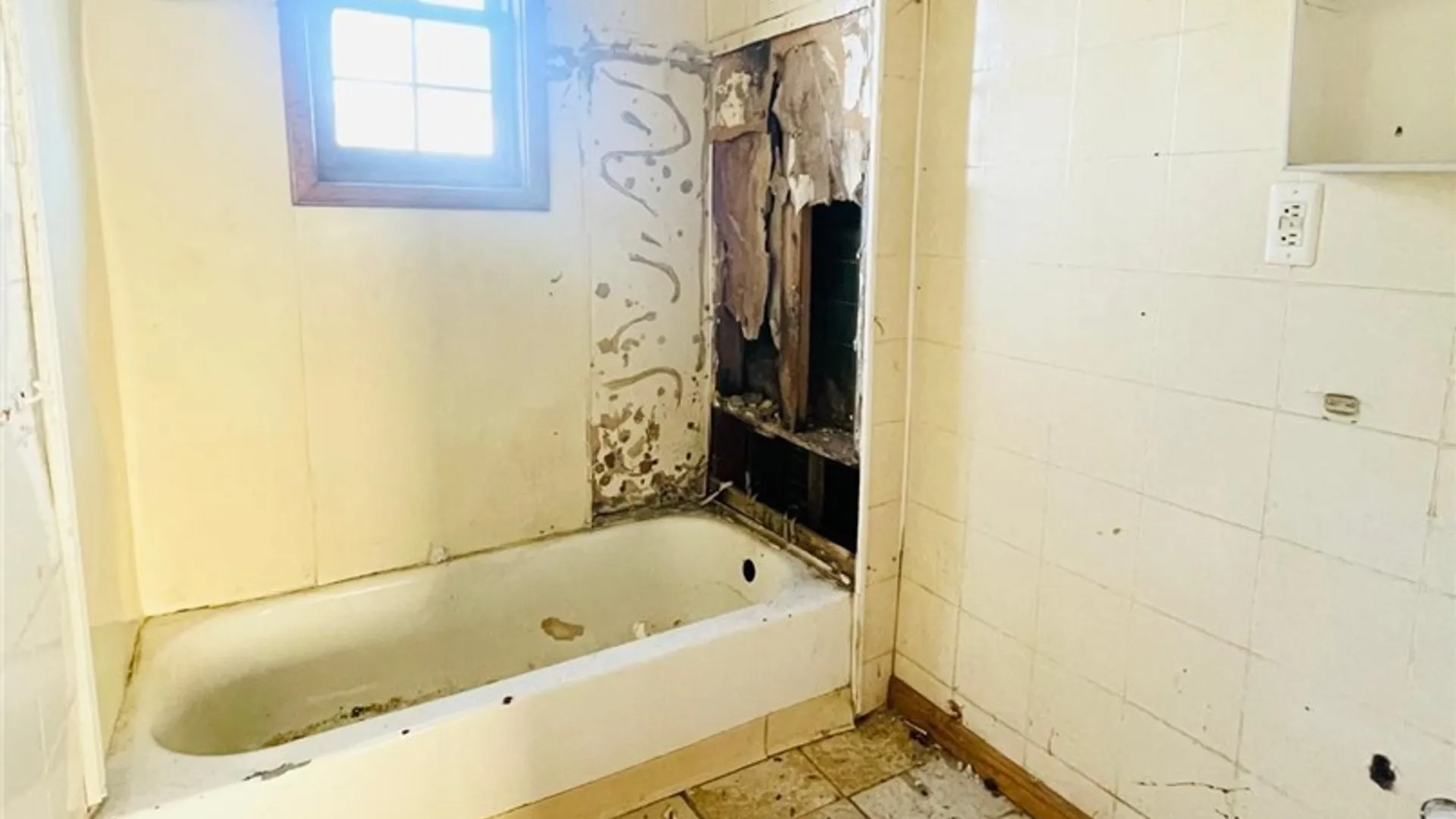 Property at 80 Liddell Street, Buffalo, NY 14212 11