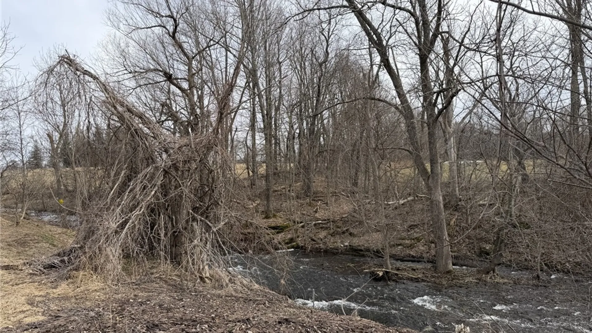 Property at 108 Hogsback Road, Warren, NY 13439 7