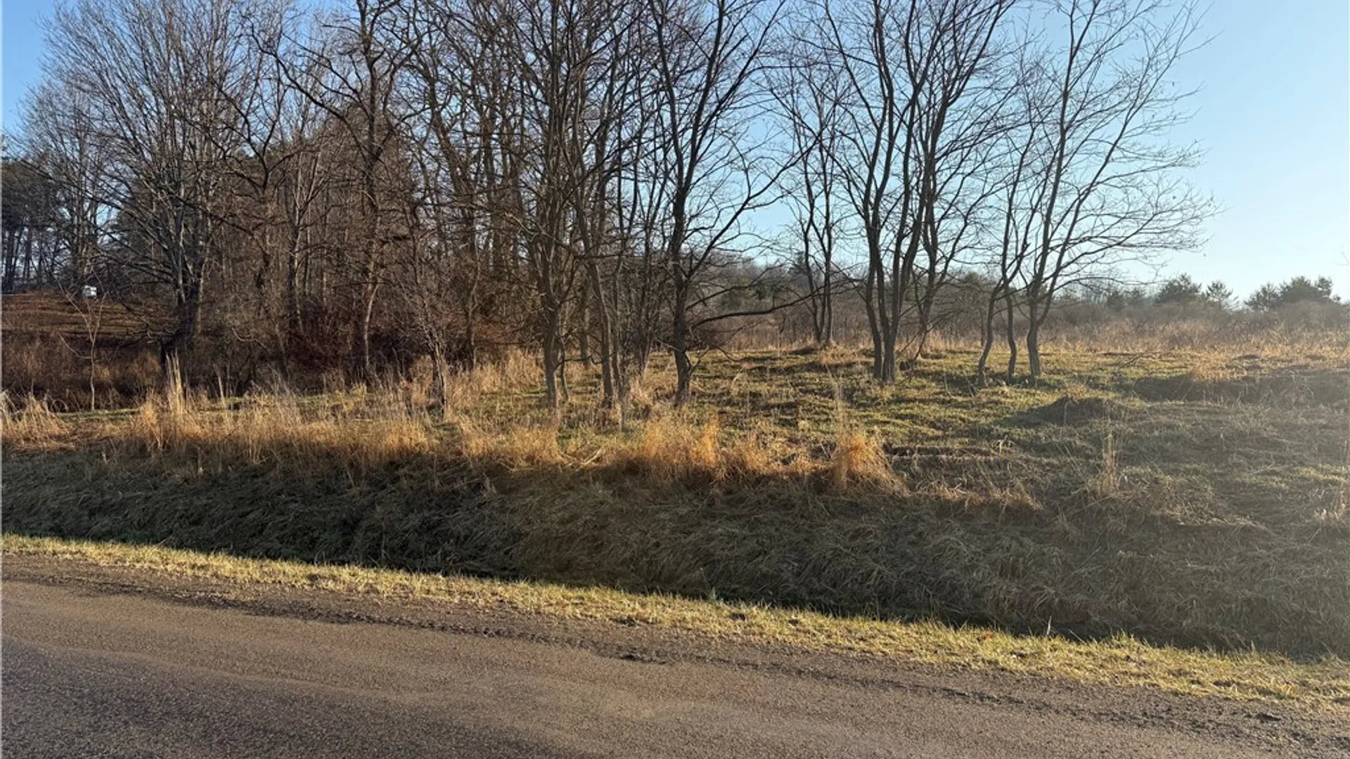 Property at 0 Brown, Almond, NY 14804 2