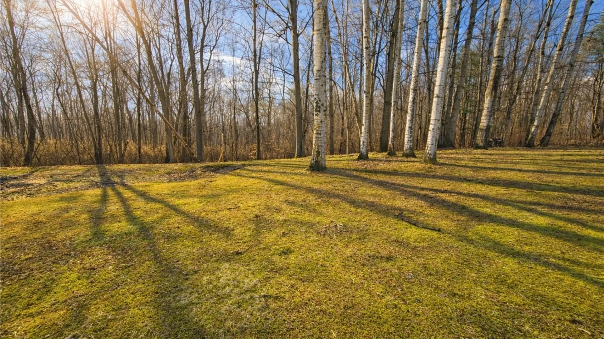 Property at 1771 Blue Sky Road, Waterloo, NY 13165 24