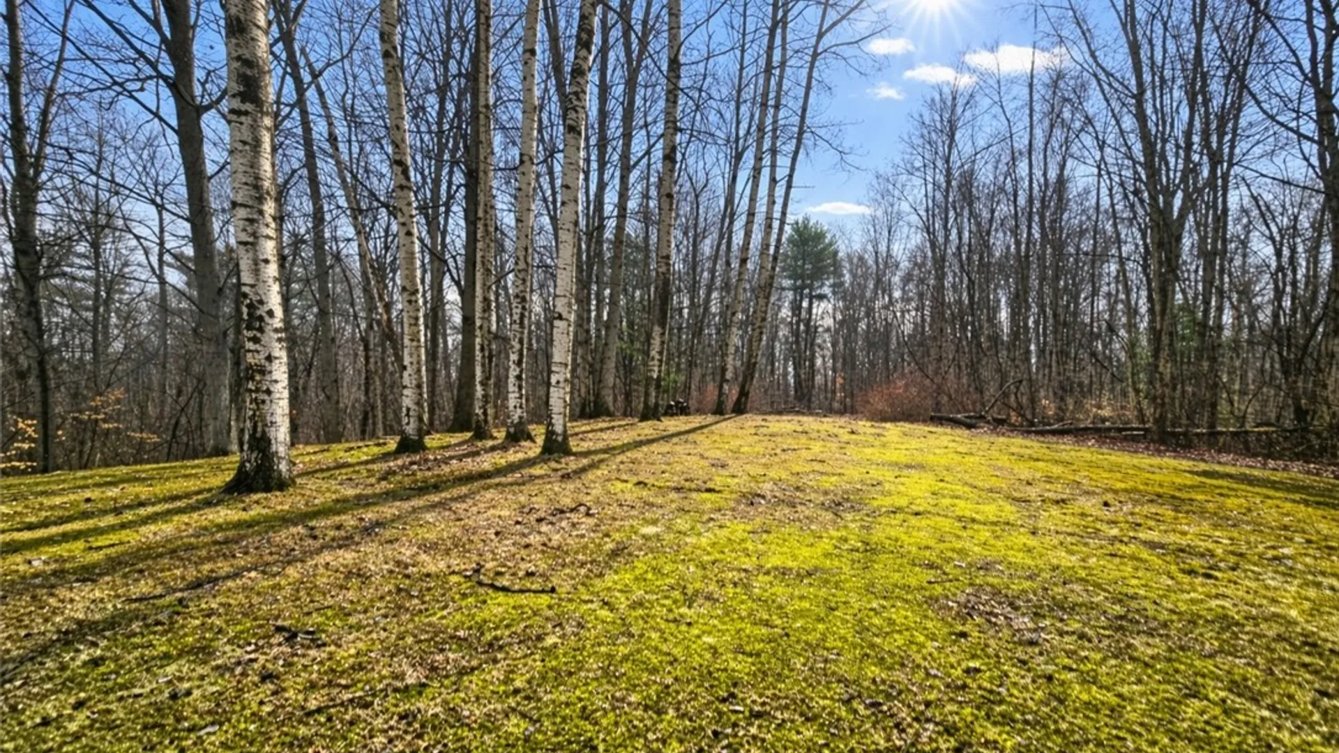 Property at 1771 Blue Sky Road, Waterloo, NY 13165 25