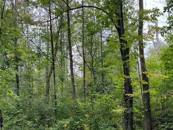 0 Tastor Lane, Portland, NY 14063