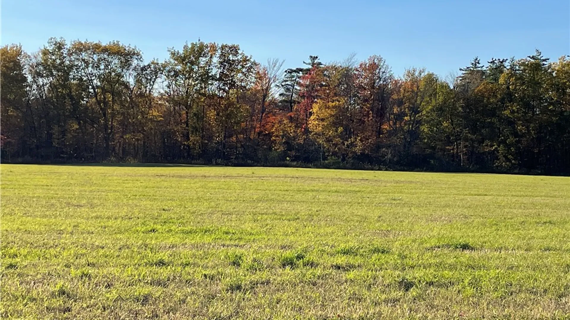 Property at 0B Waterburg Road, Enfield, NY 14886 2