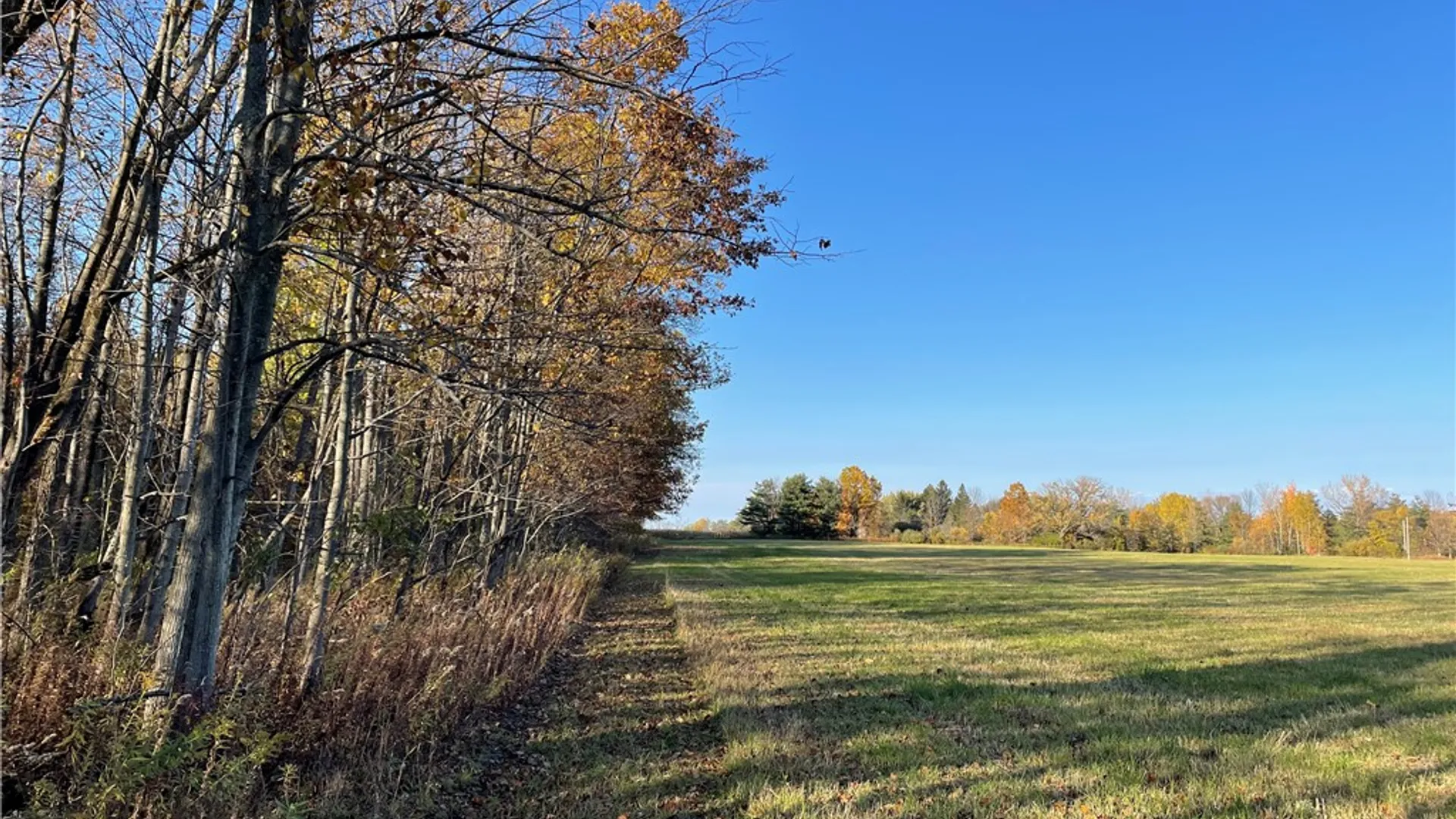 Property at 0B Waterburg Road, Enfield, NY 14886 3