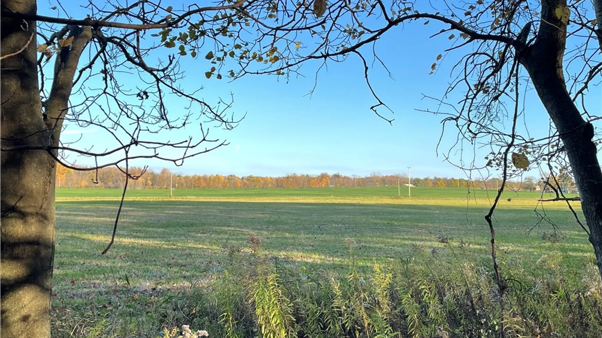 Property at 0B Waterburg Road, Enfield, NY 14886 5