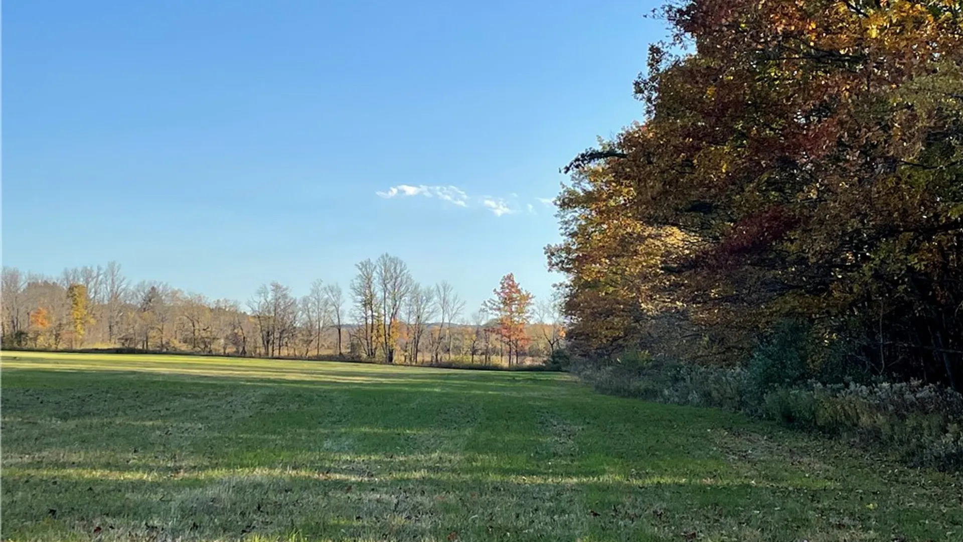 Property at 0B Waterburg Road, Enfield, NY 14886 6