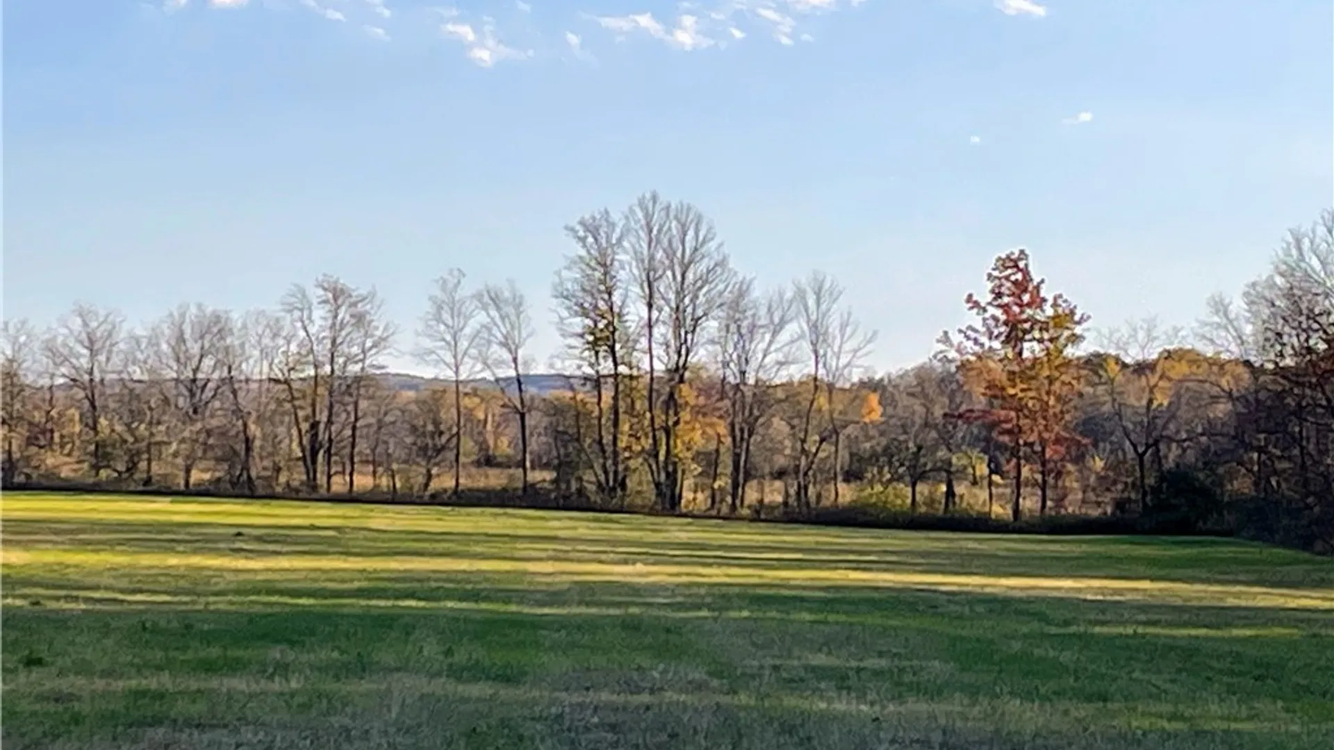 Property at 0B Waterburg Road, Enfield, NY 14886 7