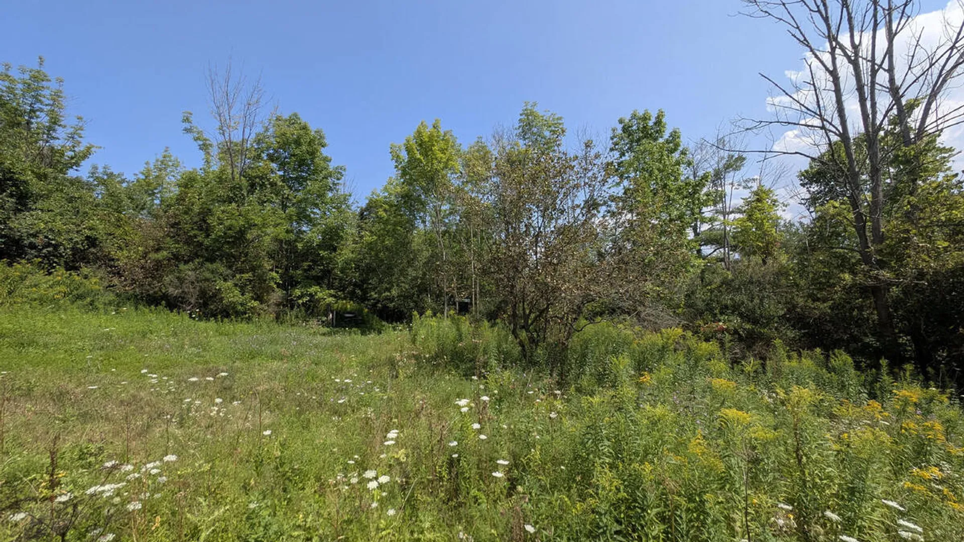 Property at 7593 Western Turnpike, Duanesburg, NY 12053 13