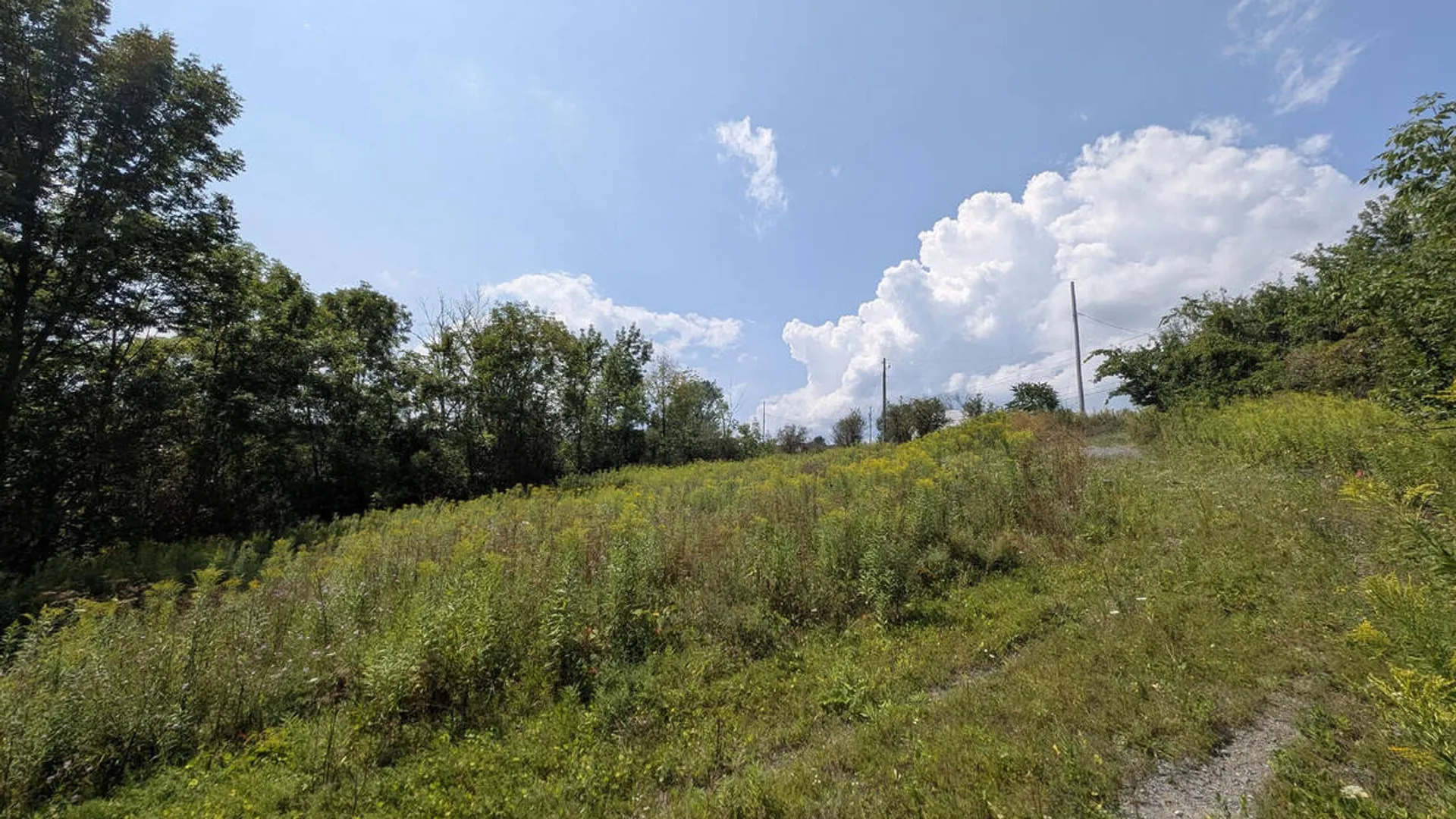 Property at 7593 Western Turnpike, Duanesburg, NY 12053 14