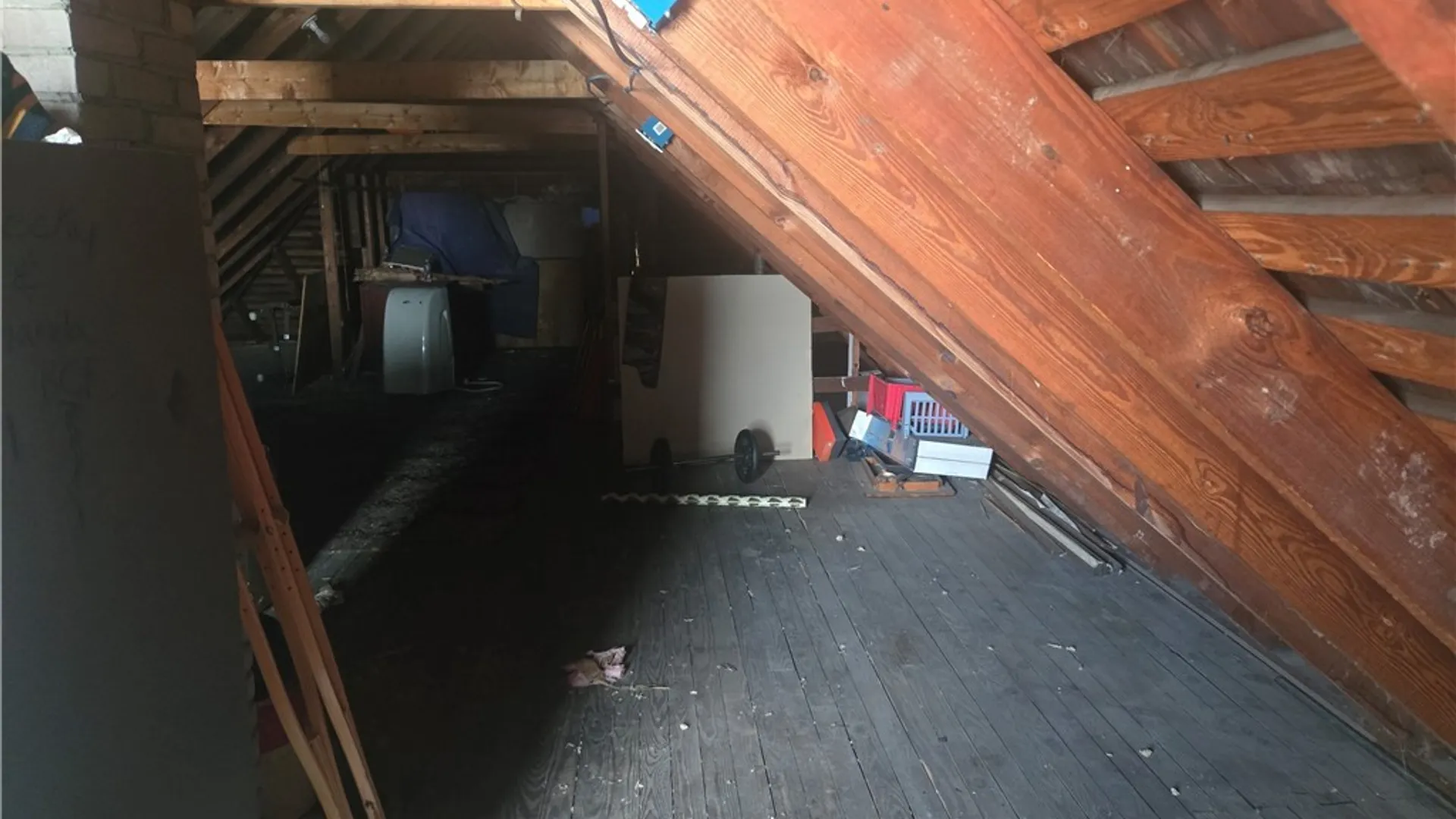 Property at 46 Ullman Street, Buffalo, NY 14207 22