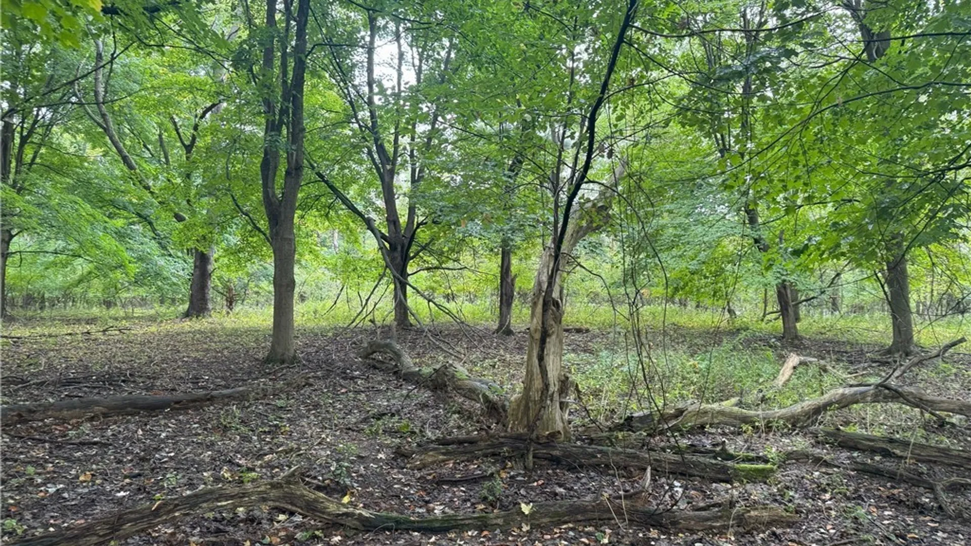 Property at VL Angle Road, Orchard Park, NY 14127 5