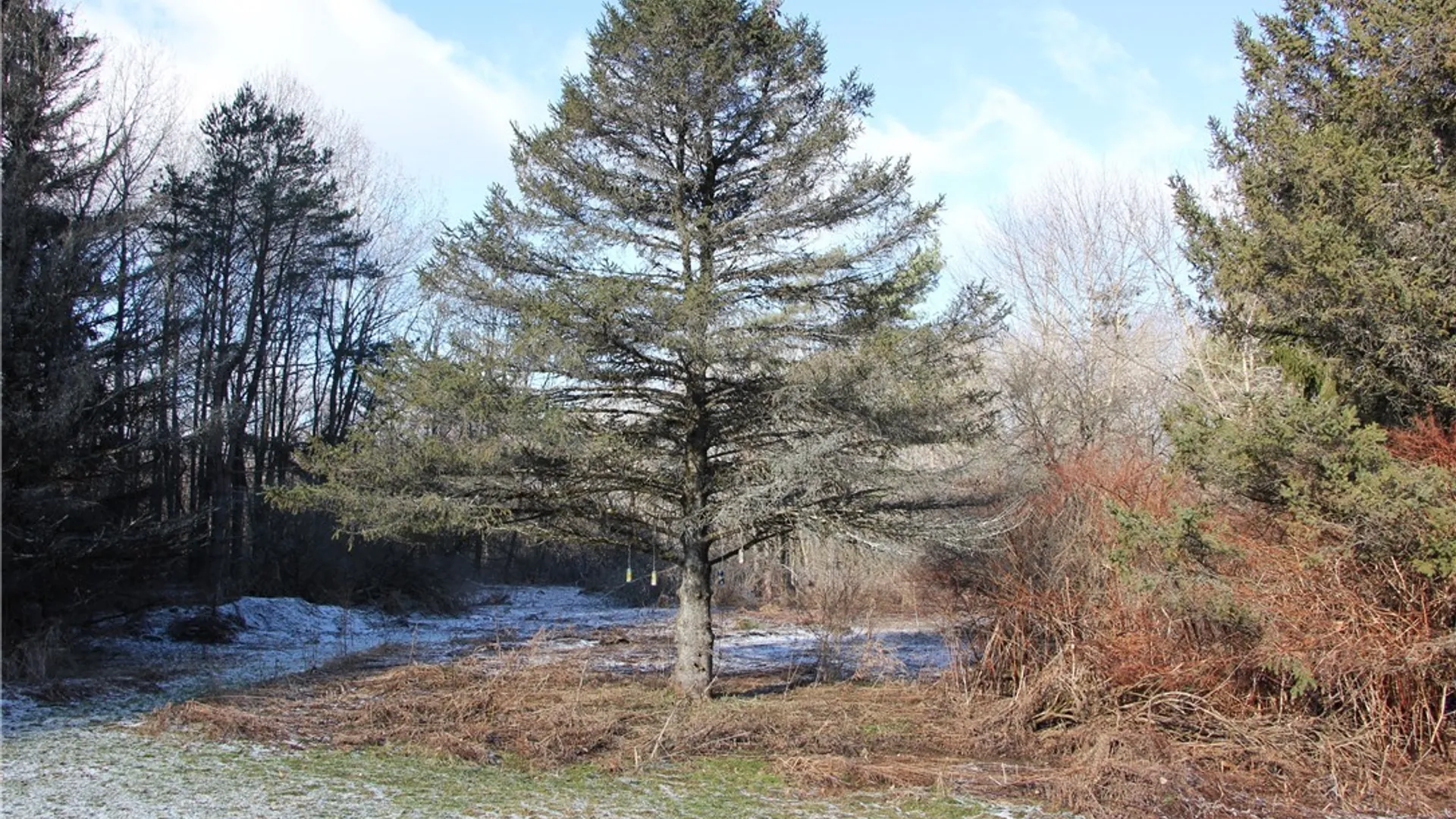 Property at 2841 Johnnycake Hill Road, Madison, NY 13346 5