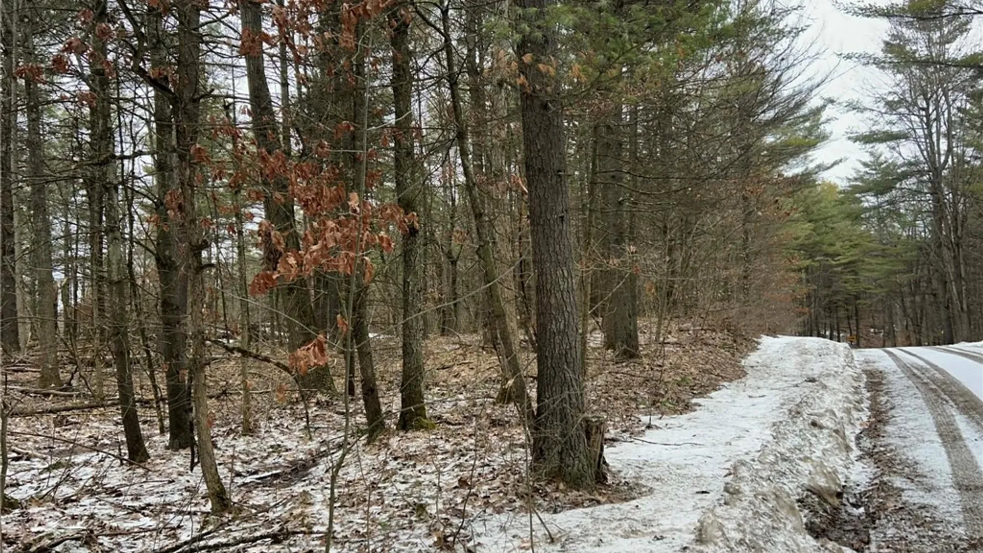 Property at Whitaker Road, Hammond, NY 13646 3