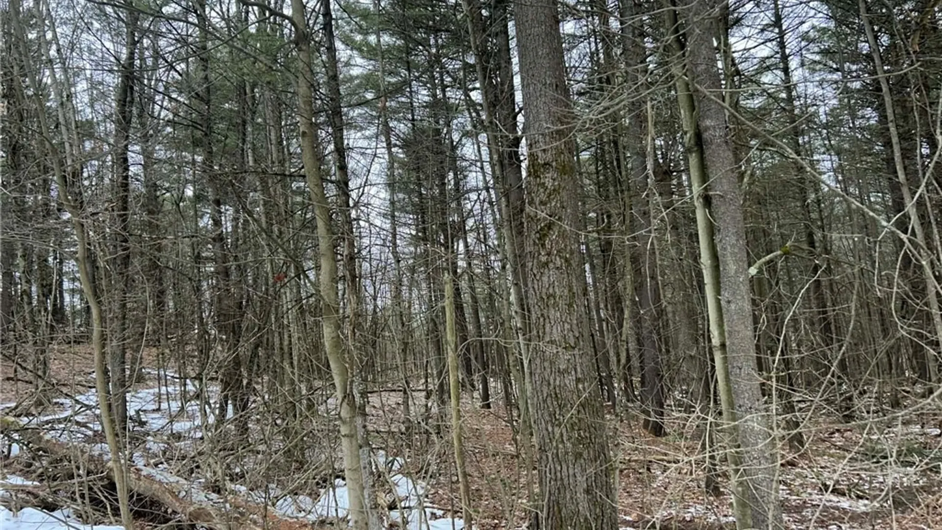 Property at Whitaker Road, Hammond, NY 13646 4