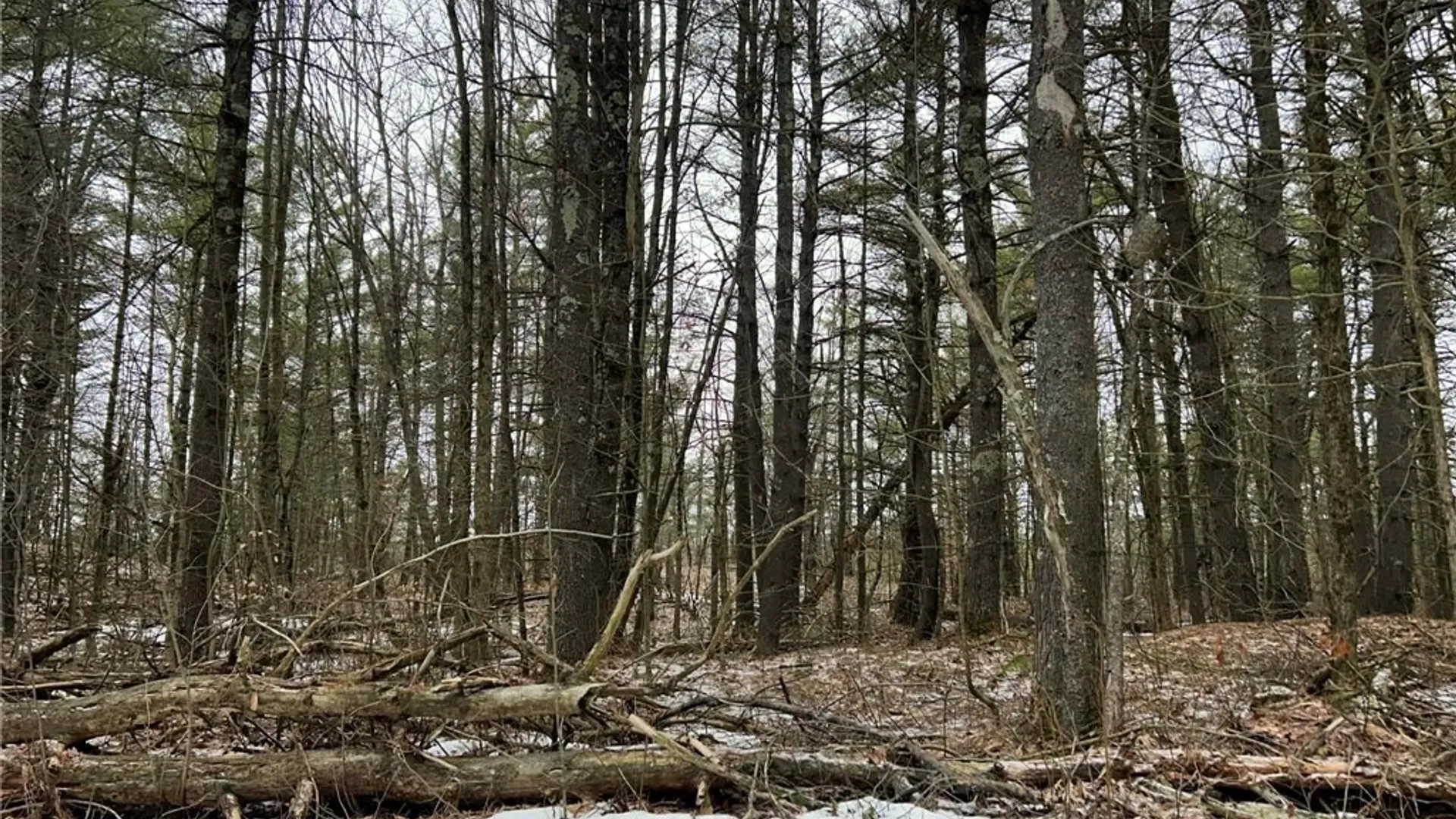 Property at Whitaker Road, Hammond, NY 13646 6