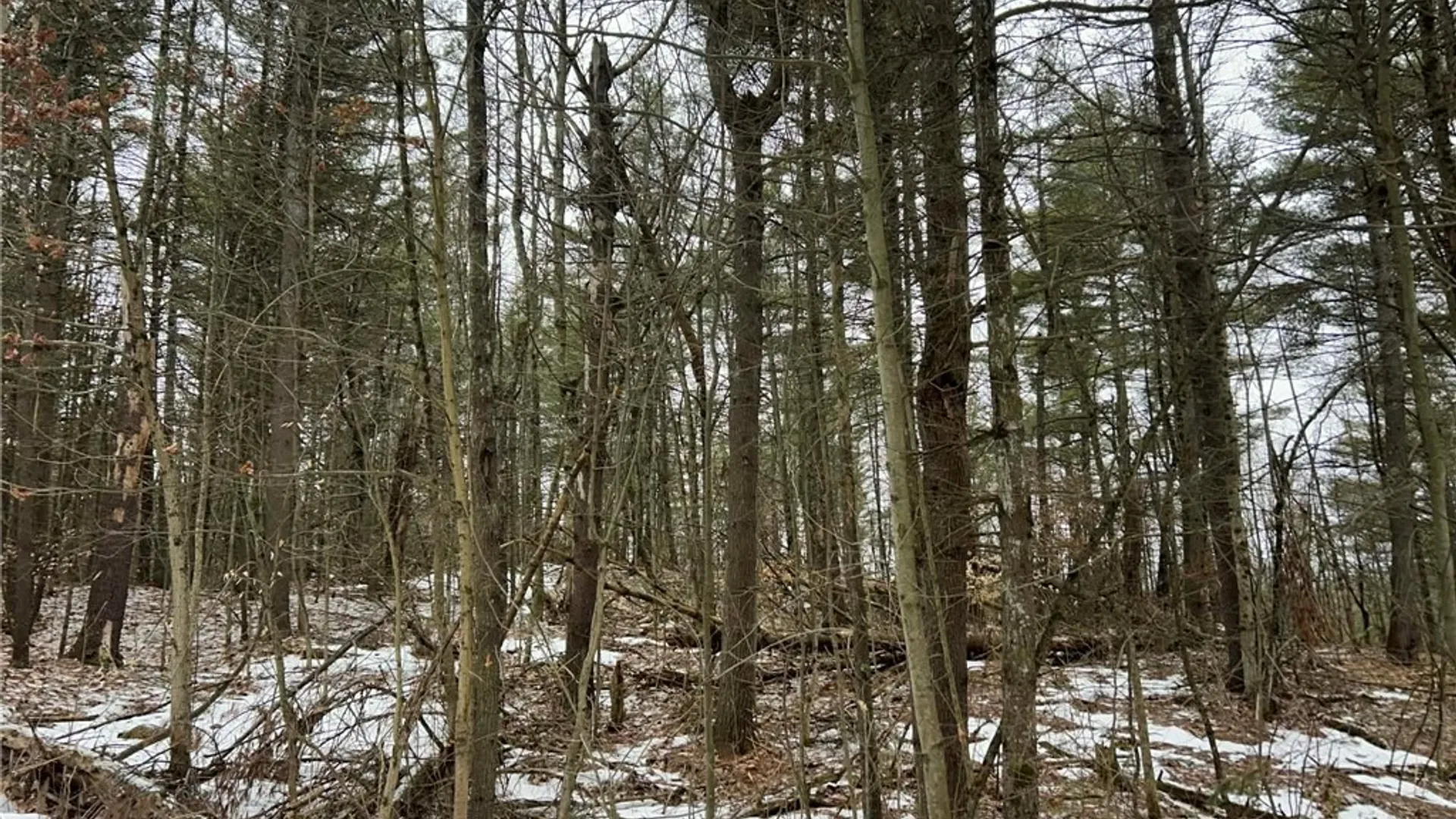 Property at Whitaker Road, Hammond, NY 13646 7