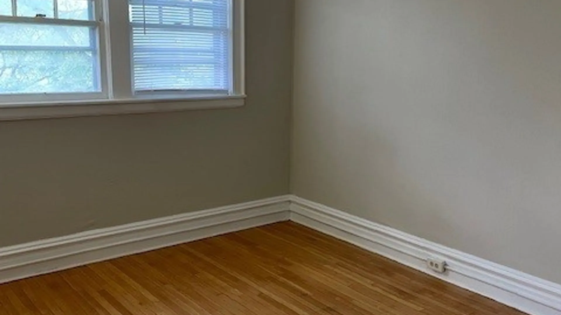 Property at 726 Euclid Avenue, Syracuse, NY 13210 11
