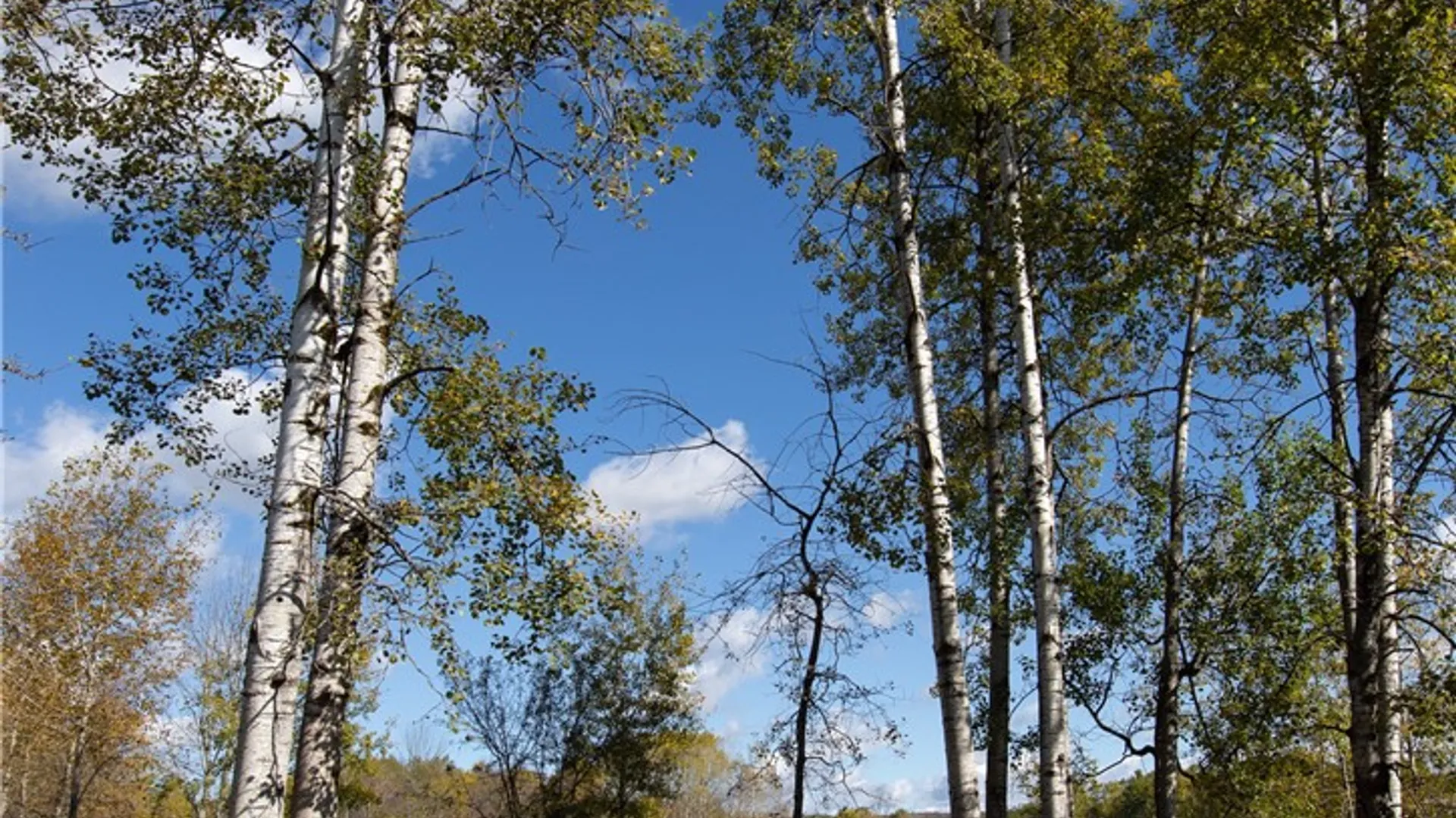 Property at 380 Raymond Fish Road, Otsego, NY 13348 19