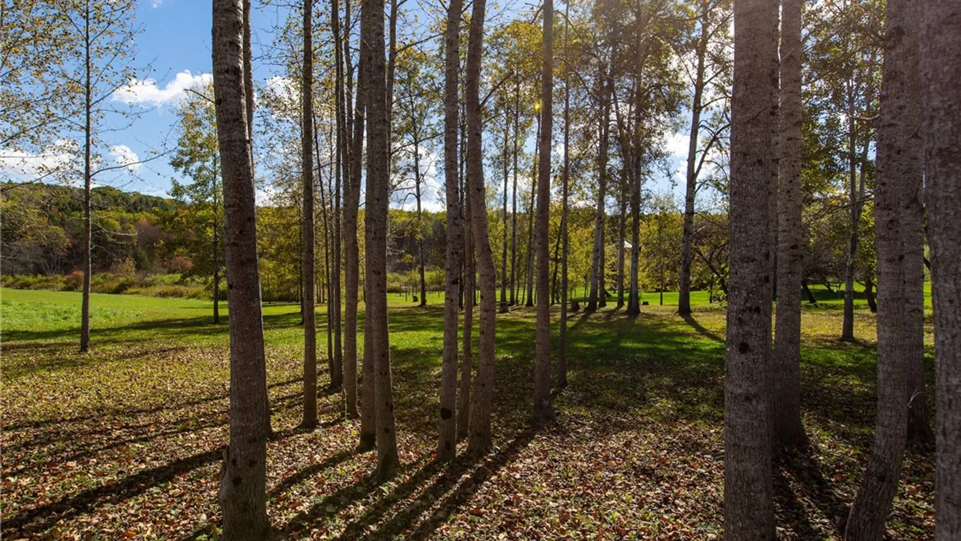 Property at 380 Raymond Fish Road, Otsego, NY 13348 44