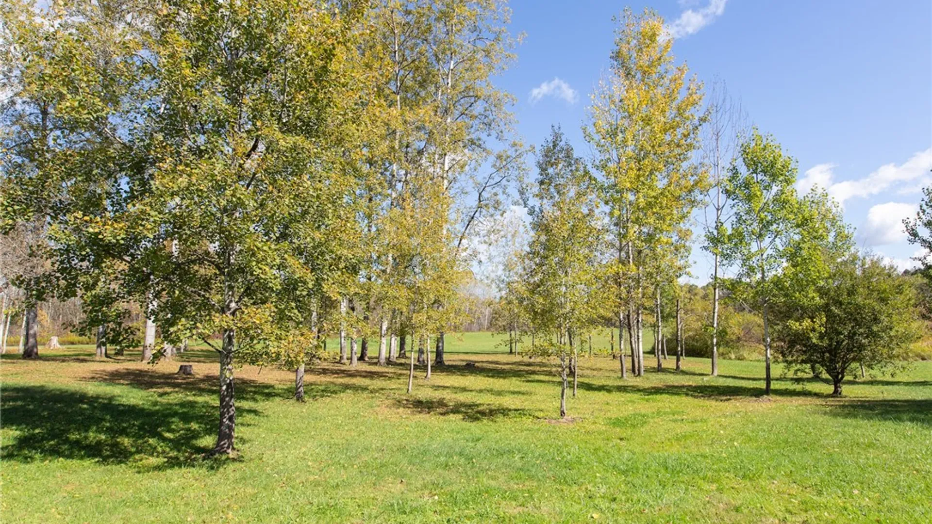 Property at 380 Raymond Fish Road, Otsego, NY 13348 46