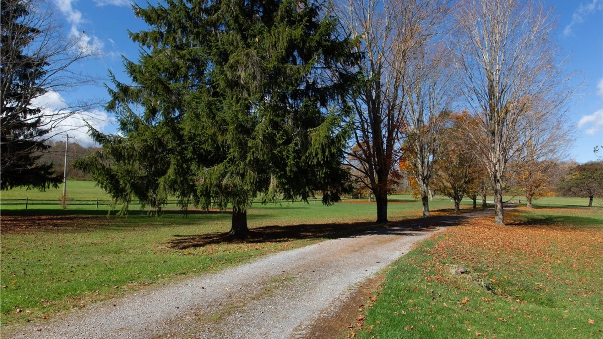 Property at 380 Raymond Fish Road, Otsego, NY 13348 49