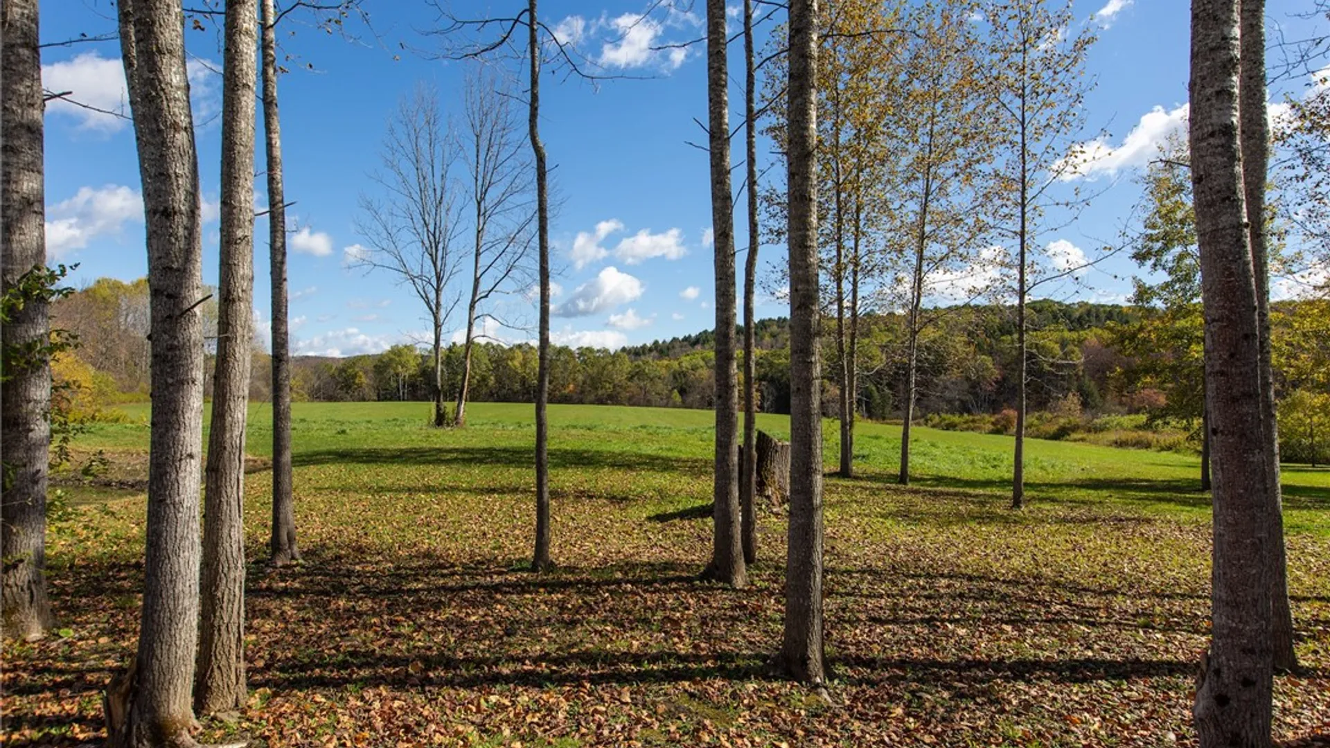 Property at 380 Raymond Fish Road, Otsego, NY 13348 8