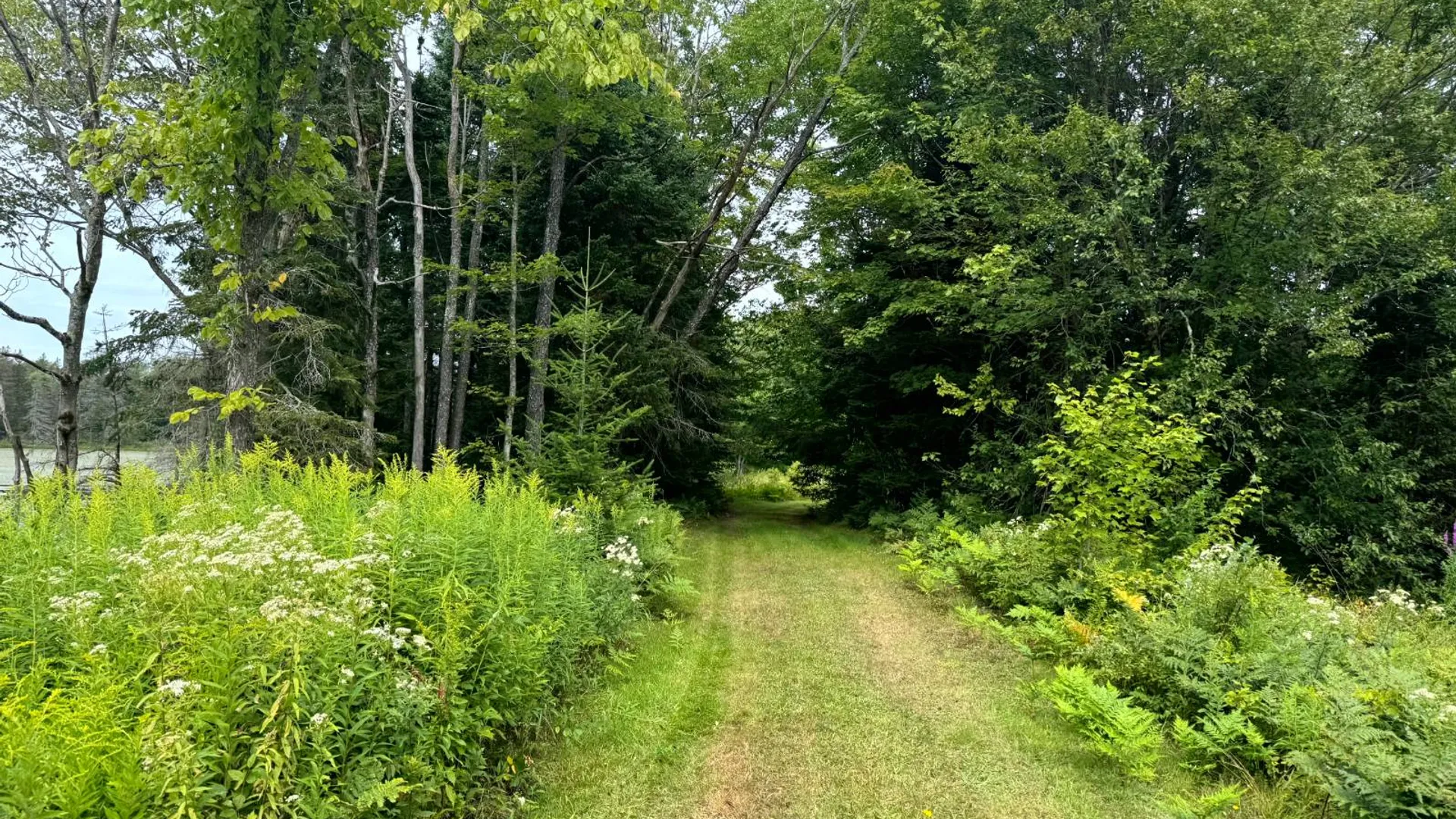 Property at 1121 Borland Rd, Copenhagen, NY 13626 12