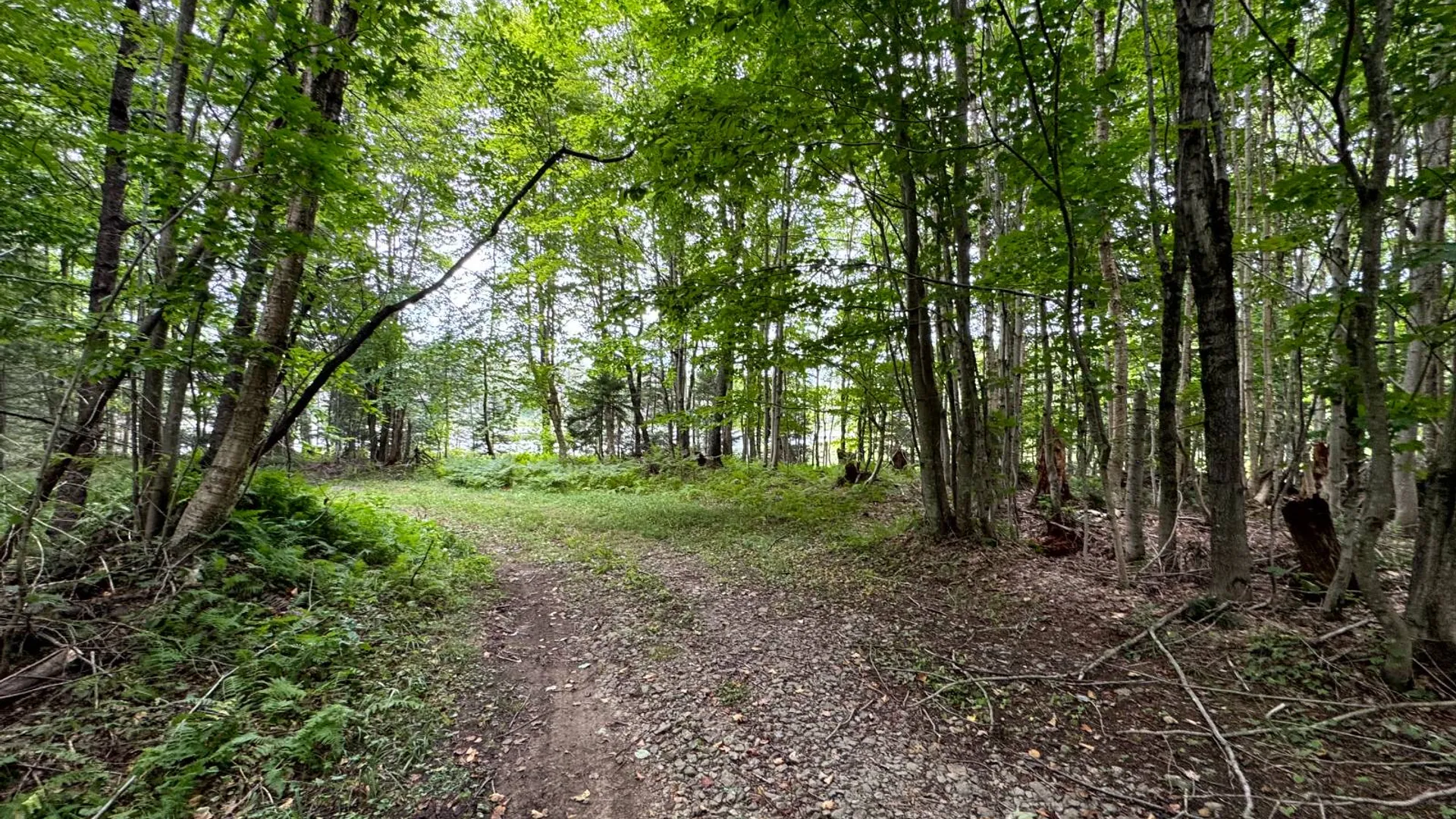 Property at 1121 Borland Rd, Copenhagen, NY 13626 13