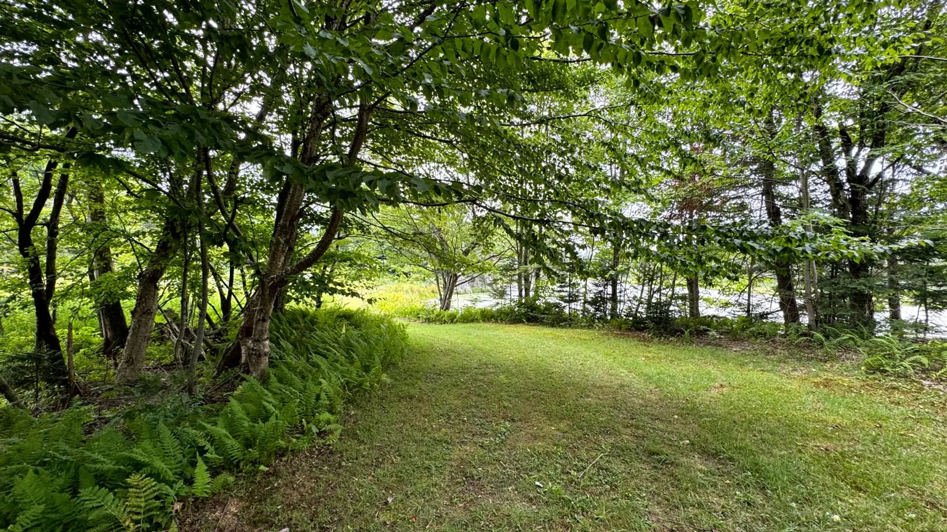 Property at 1121 Borland Rd, Copenhagen, NY 13626 15