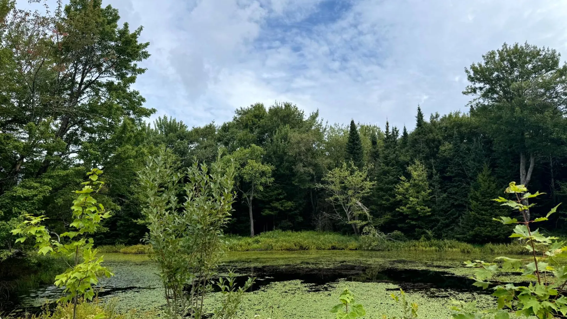 Property at 1121 Borland Rd, Copenhagen, NY 13626 9