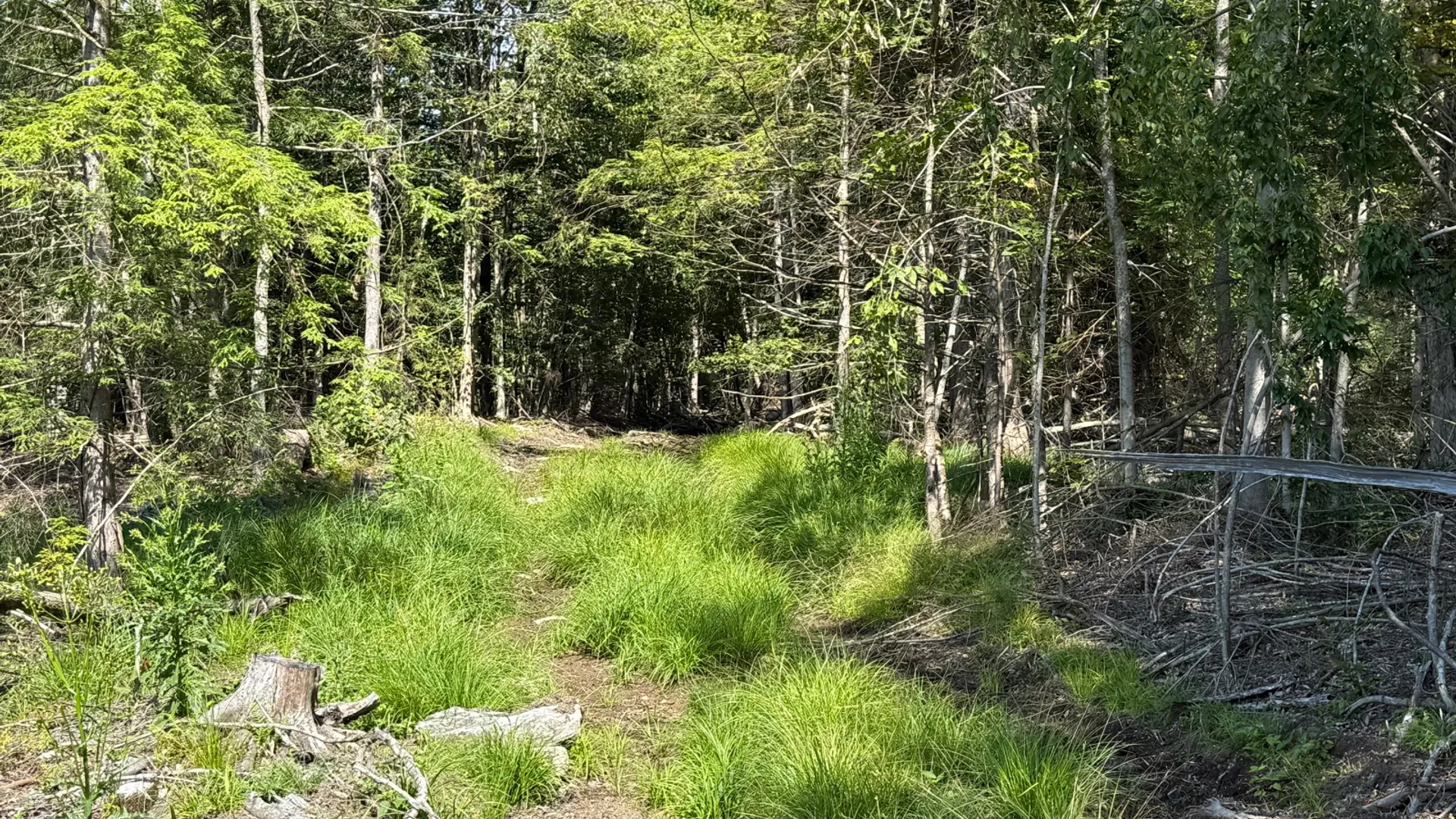 Property at 2259 County Route 29A, Johnstown, NY 12095 10