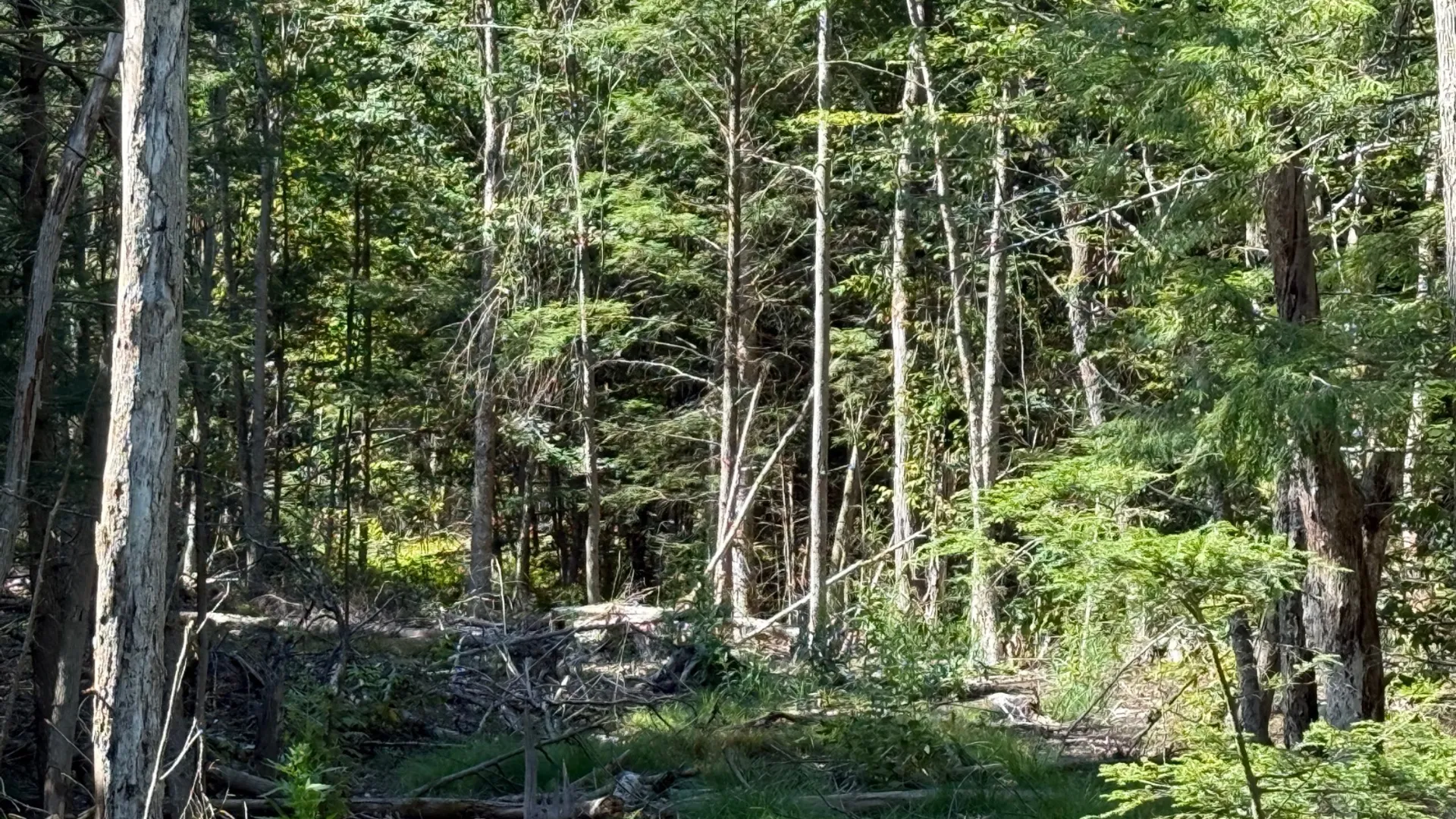 Property at 2259 County Route 29A, Johnstown, NY 12095 13