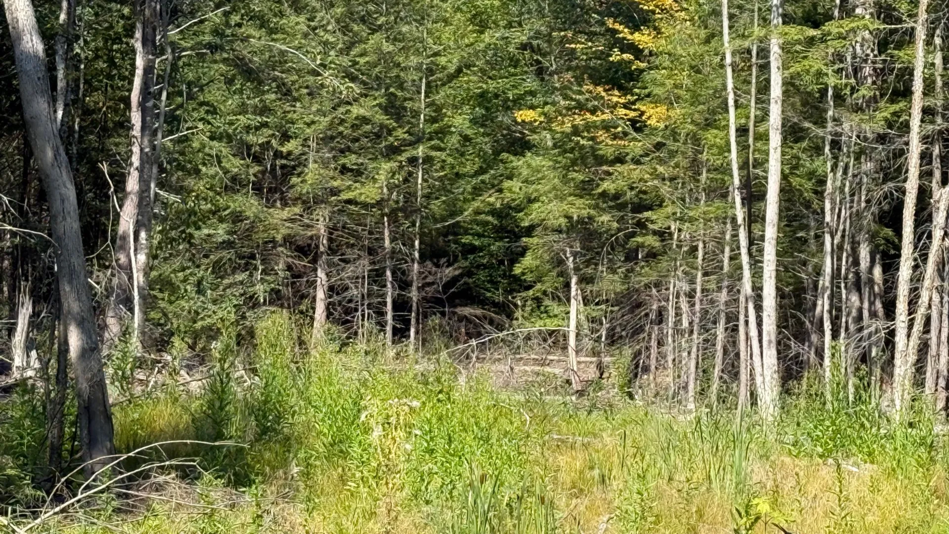 Property at 2259 County Route 29A, Johnstown, NY 12095 14