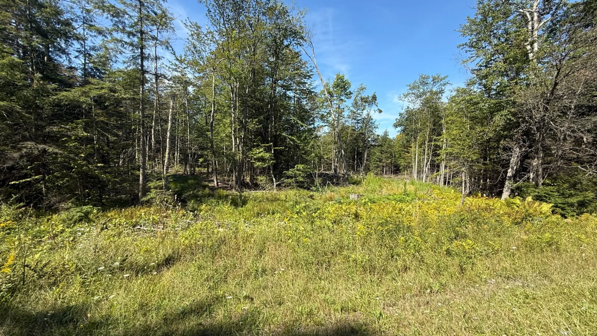 Property at 2259 County Route 29A, Johnstown, NY 12095 16