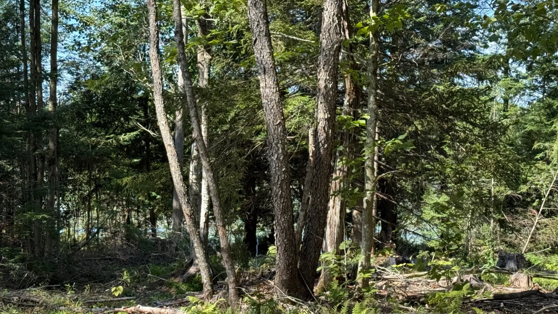 Property at 2259 County Route 29A, Johnstown, NY 12095 2