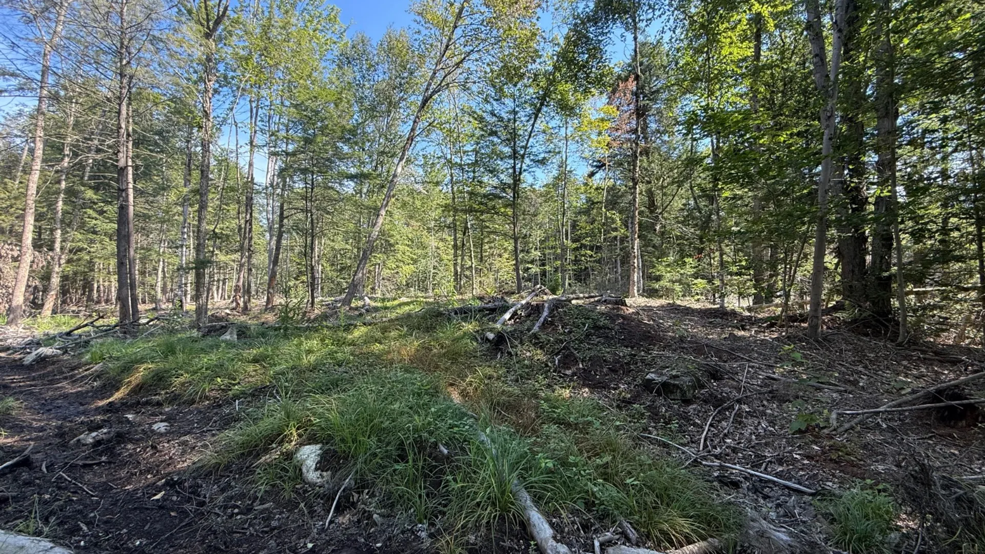 Property at 2259 County Route 29A, Johnstown, NY 12095 3