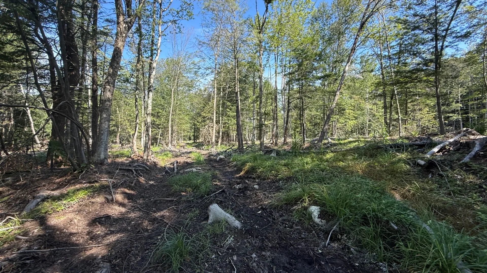 Property at 2259 County Route 29A, Johnstown, NY 12095 5