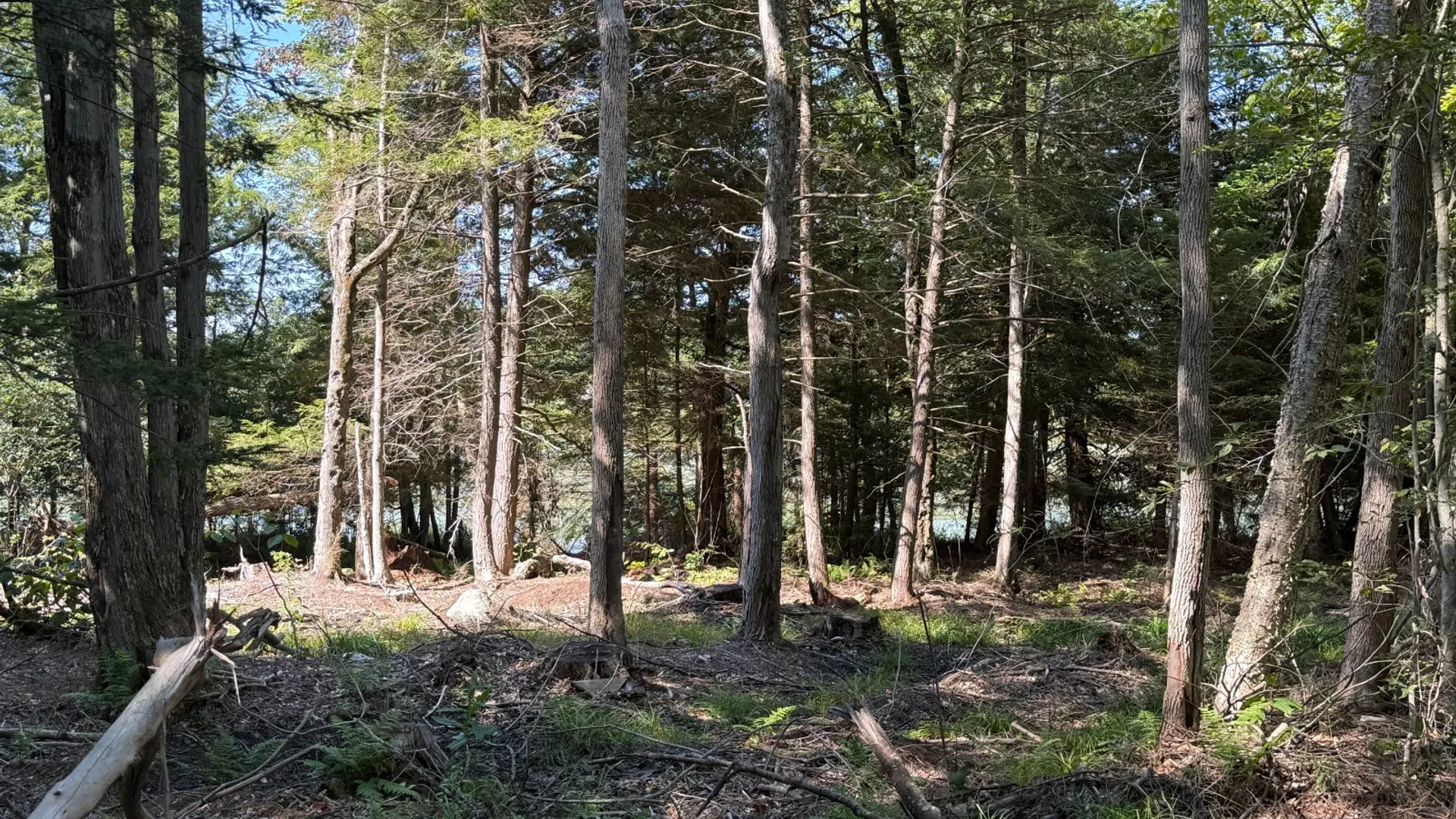 Property at 2259 County Route 29A, Johnstown, NY 12095 7